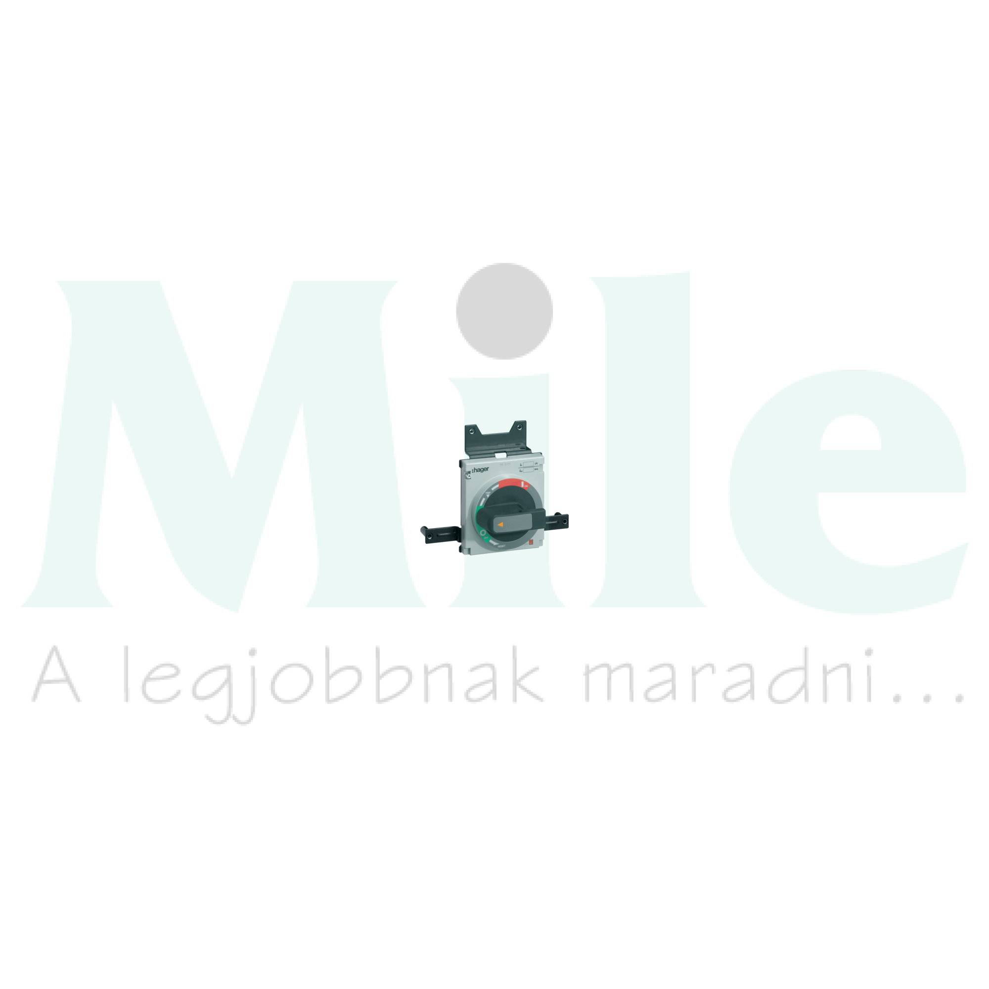 Közvetlen forgató hajtás h1000-hez zárható HXE Hager