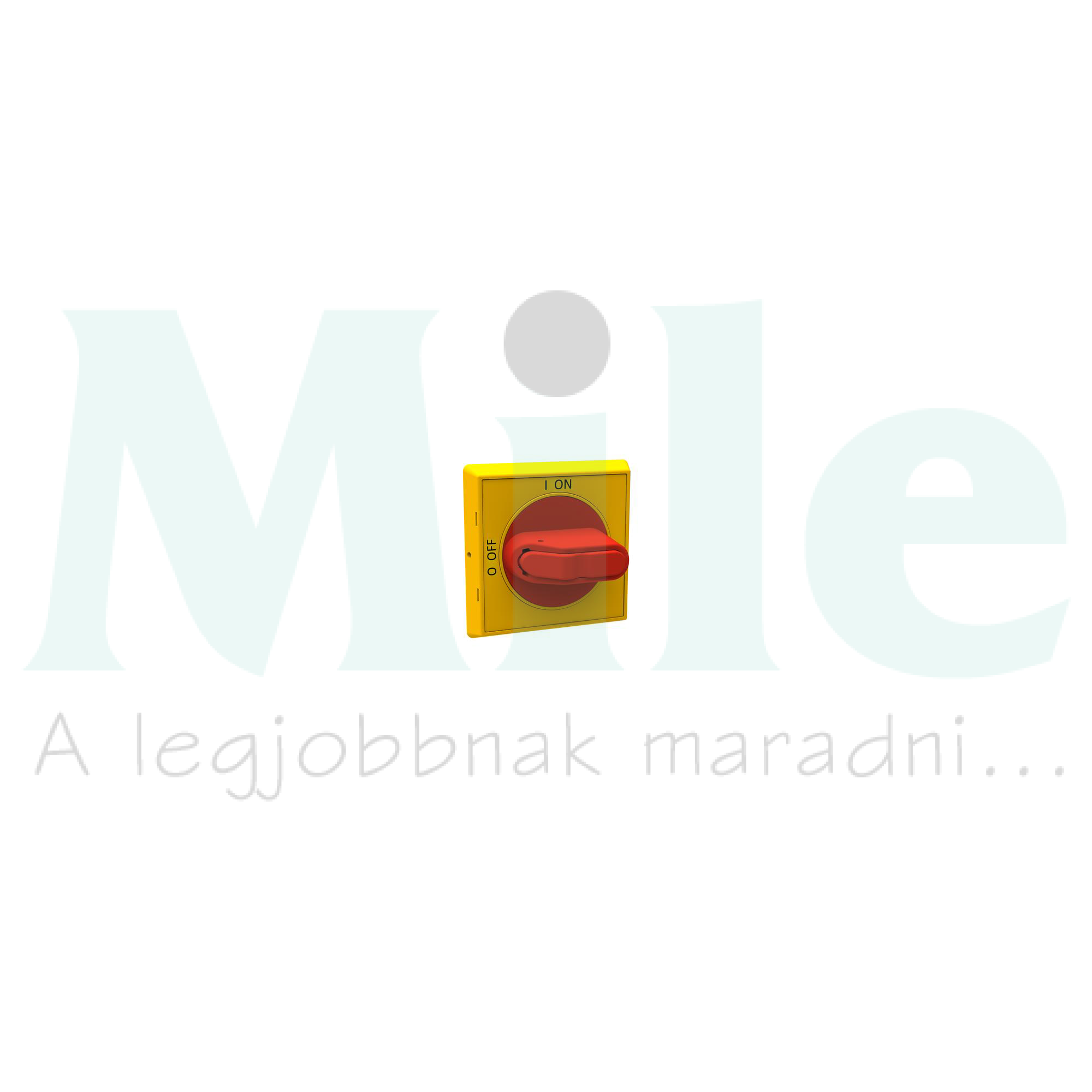 Közvetlen forgató hajtás I-0 OT16…125F-hez zárható OHYS2AJ ABB