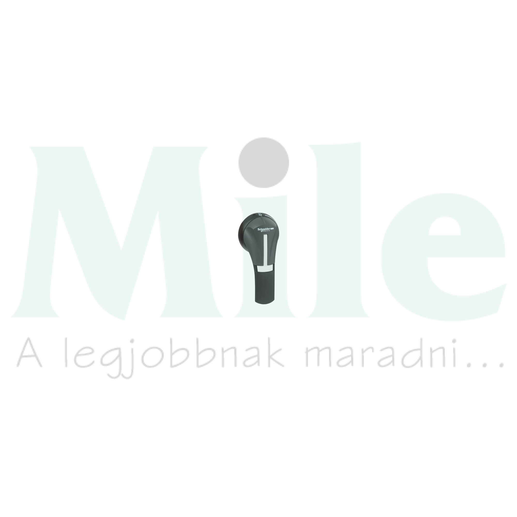 Közvetlen forgatókar GS2-höz DC-kapcsoló fekete zárható TeSys GS2-A Schneider