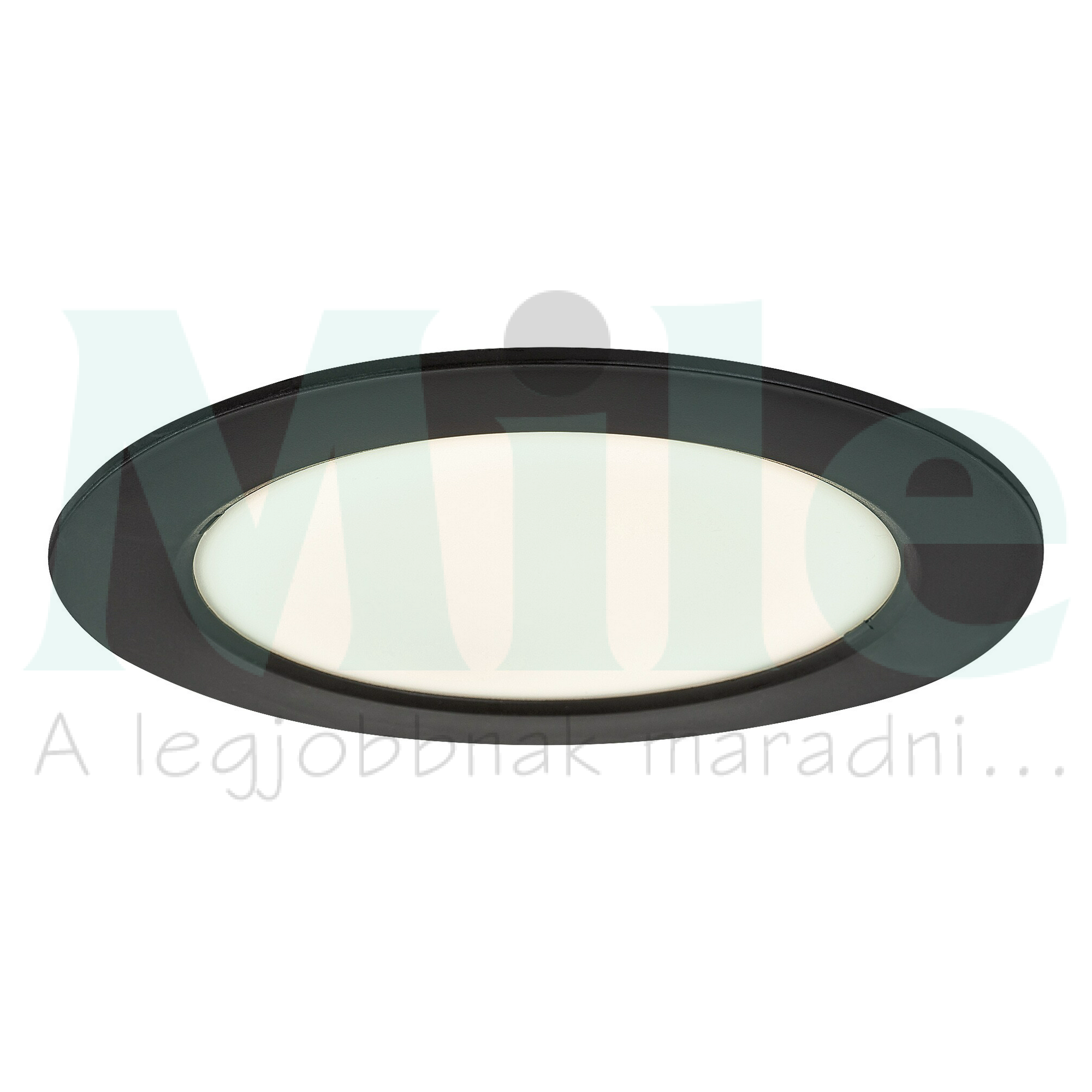 LED álmennyezeti lámpatest kerek süllyesztett falonkívüli 1x 12W 230V AC 810lm 4000K IP20 25000h Shaun2 RÁBALUX