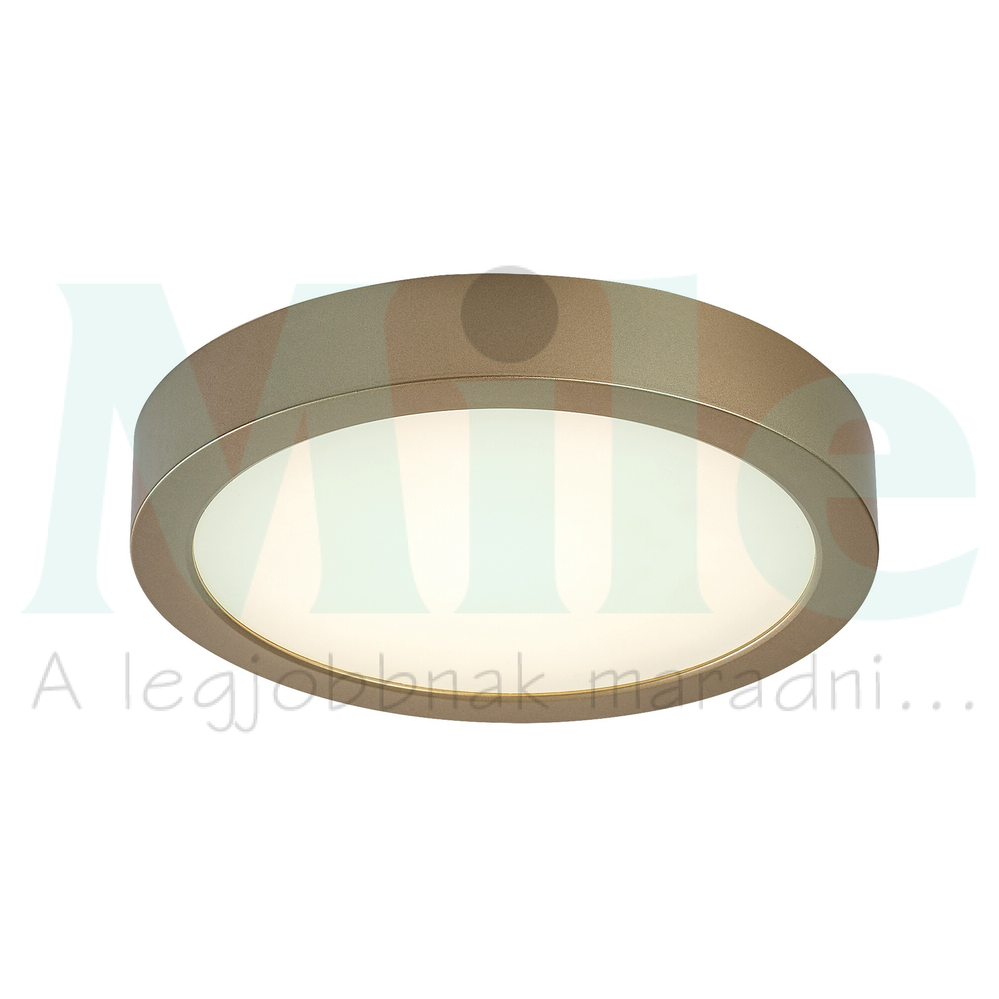 LED kültéri mennyezeti lámpatest kerek falonkívüli 1x 24W 230V AC 2600lm 4000K IP44 20000h ShaunPlus RÁBALUX