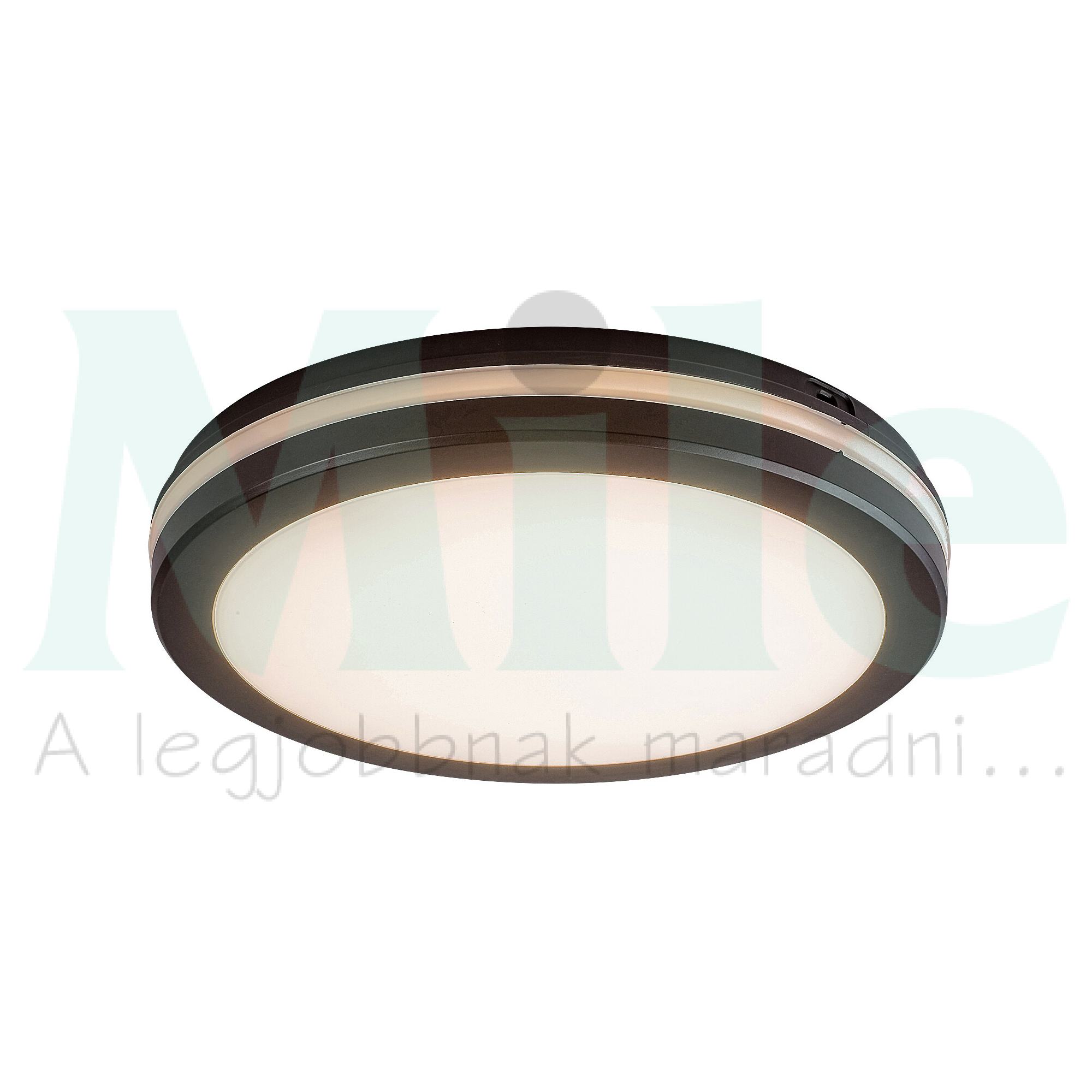 LED kültéri mennyezeti lámpatest kerek falonkívüli 1x 28W 230V AC 2450lm 3000-6500K IP54 15000h Indre RÁBALUX