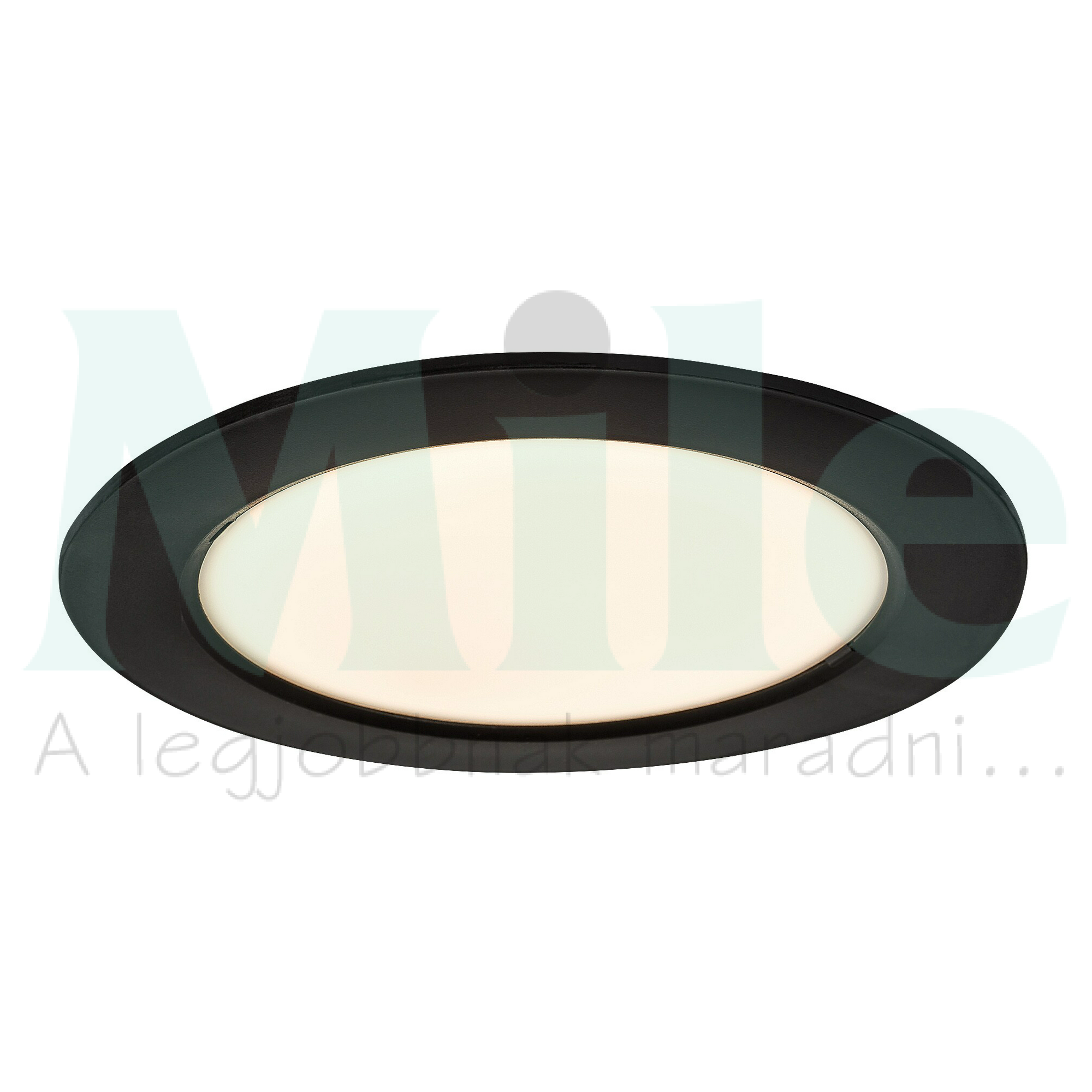LED álmennyezeti lámpatest kerek süllyesztett falonkívüli 1x 12W 230V AC 800lm 3000K IP20 25000h Shaun2 RÁBALUX