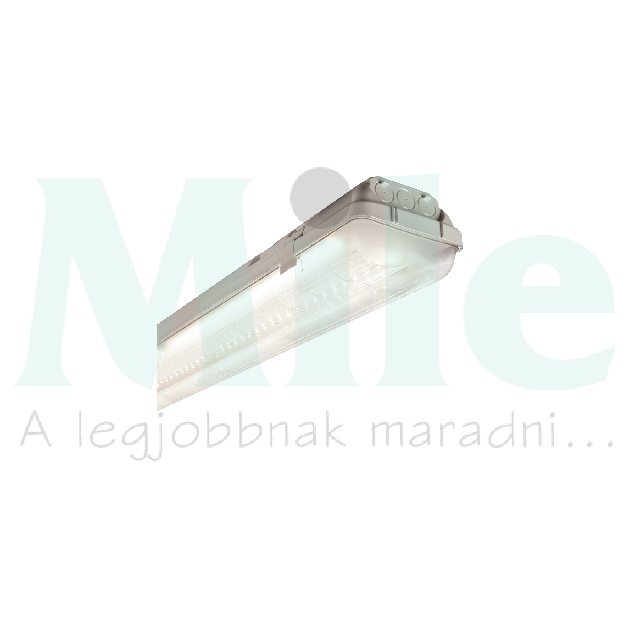 LED porpáramentes lámpatest falonkívüli 1x 50W 220-240V 6400lm 4000K IP65 Saving Stagna Beghelli