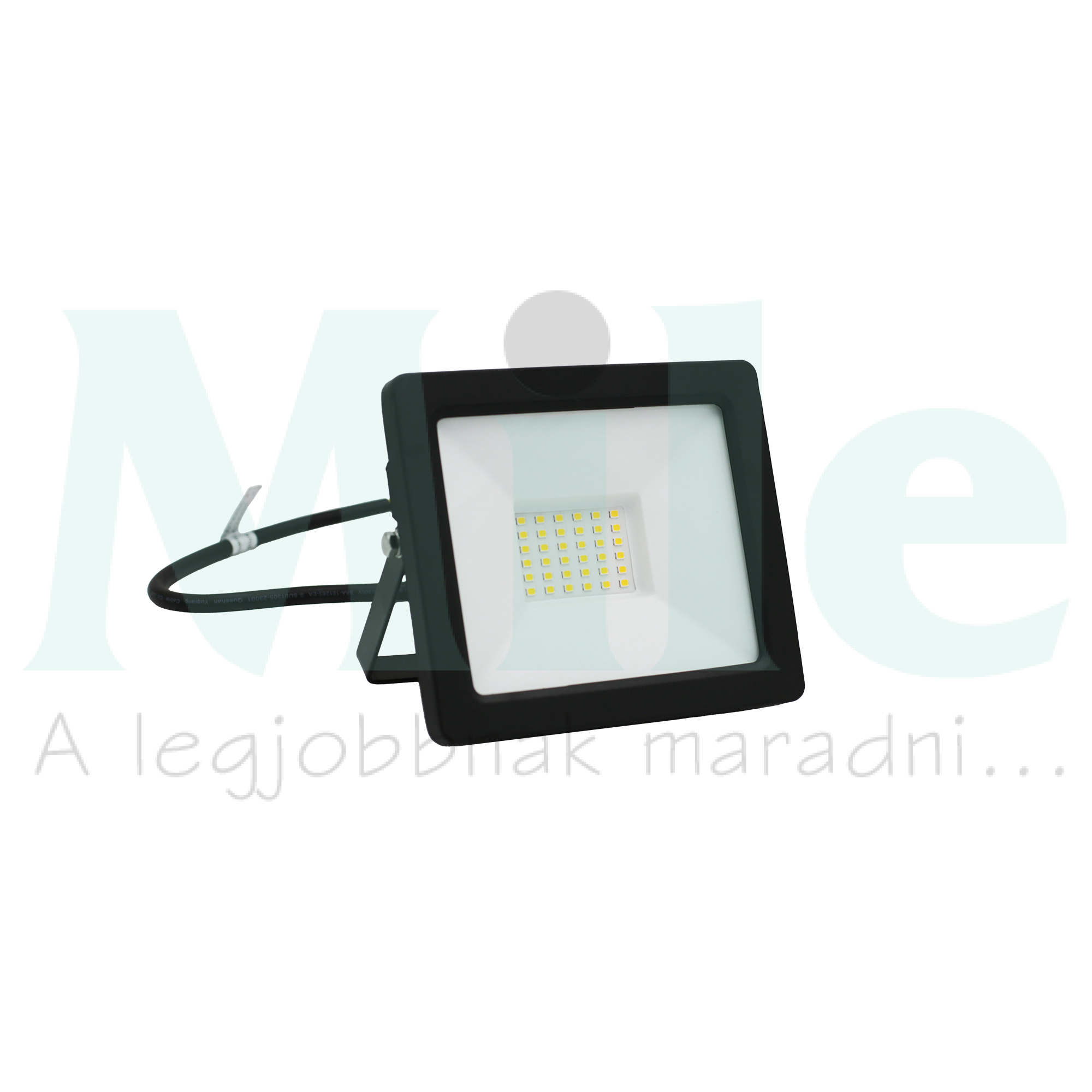LED fényvető 1x 30W 12-24V DC 3150lm 4000K antracit alumínium IP65 ADELEQ
