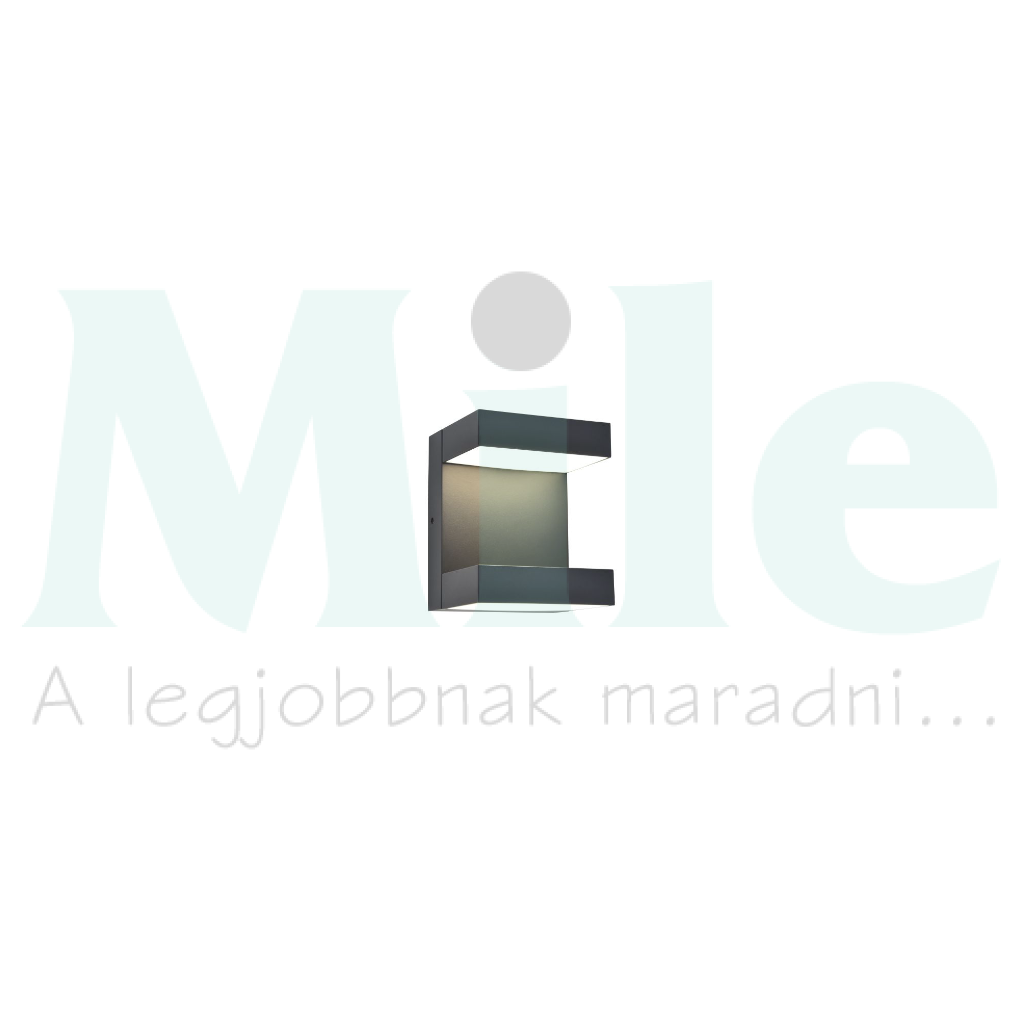 LED kültéri fali lámpatest falonkívüli 1x 13W 220-240V AC 1000lm 3000-4000K IP65 TWISTO LUTEC