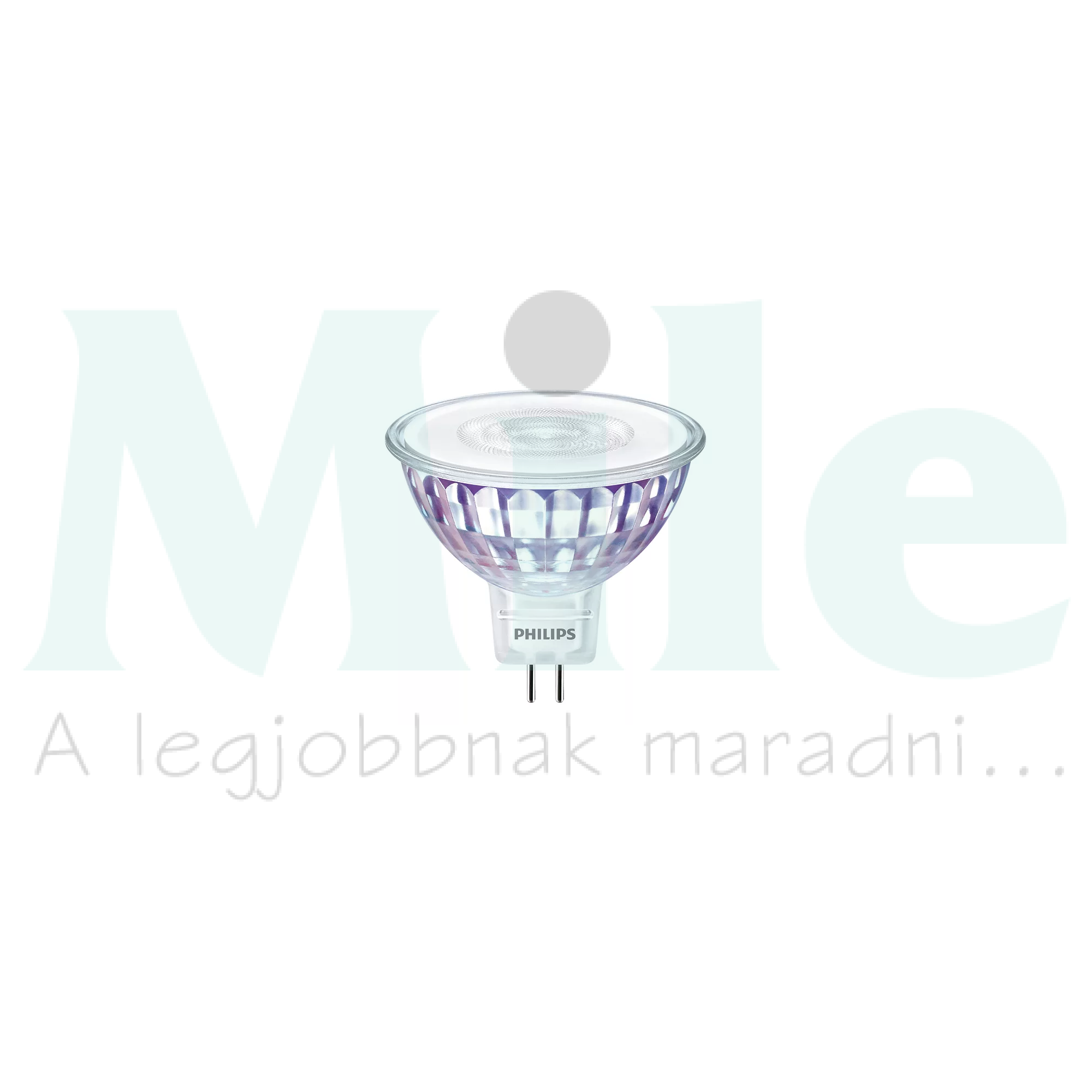 LED lámpa MR16 tükrös MR16 7W- 50W GU5.3 660lm 840 12V AC 15000h 36° CorePro LEDspot LV Philips