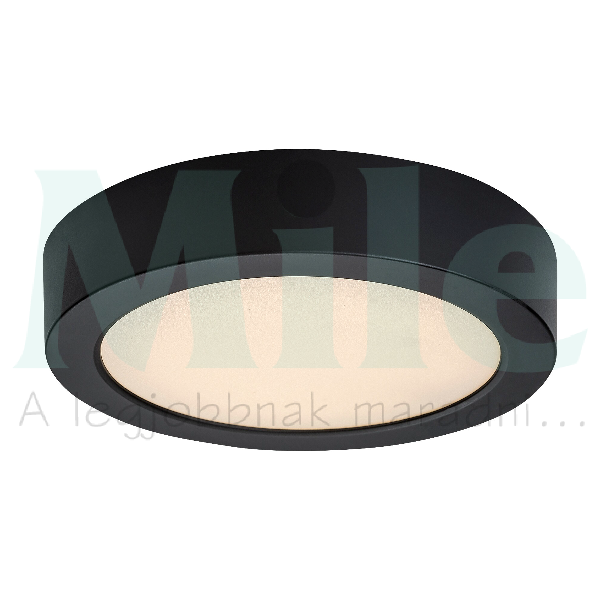 LED mennyezeti lámpatest kerek süllyesztett falonkívüli 1x 15W 230V AC 1450lm 3000K IP20 20000h Shaun2 RÁBALUX