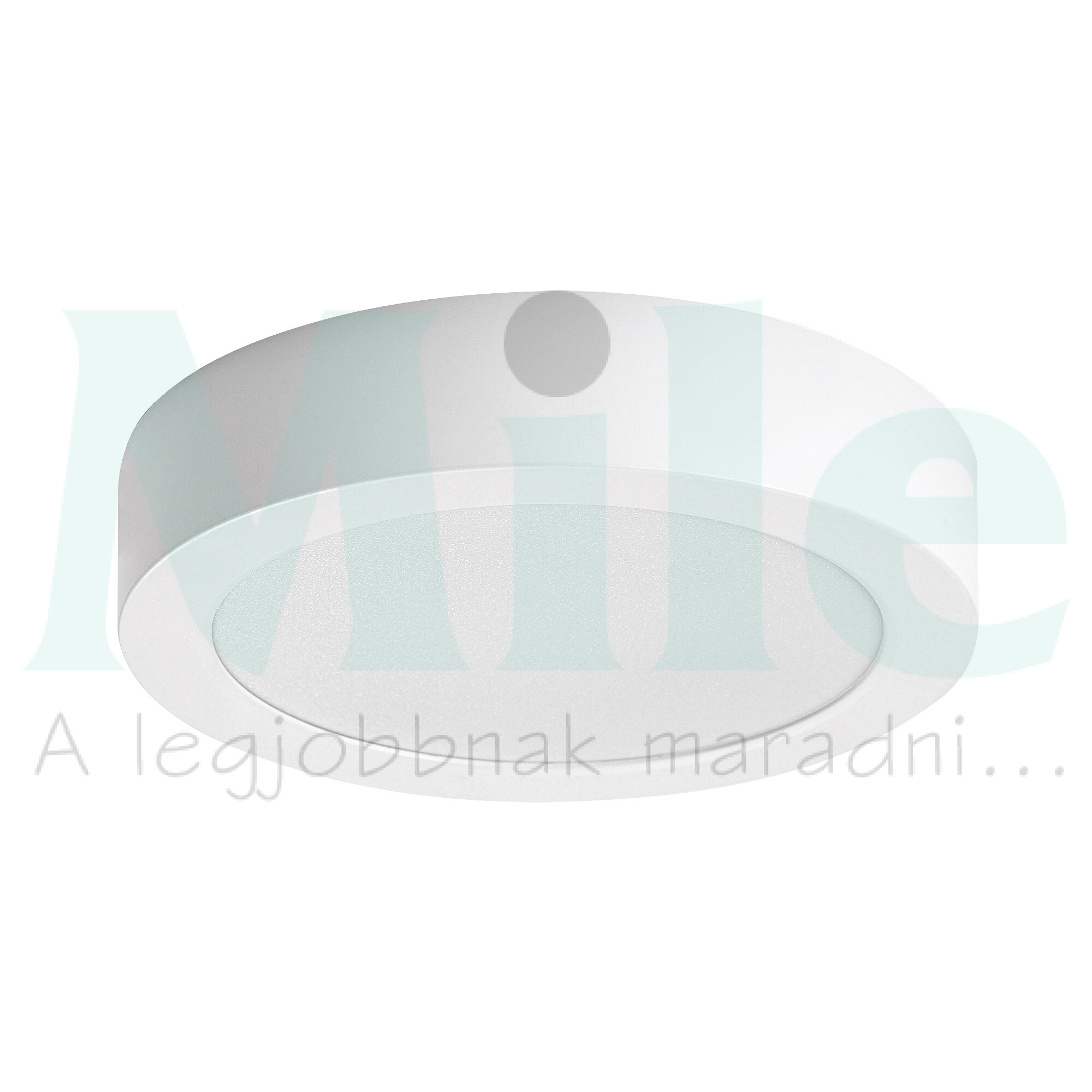 LED mennyezeti lámpatest kerek süllyesztett falonkívüli 1x 15W 230V AC 1450lm 4000K IP20 20000h Shaun2 RÁBALUX