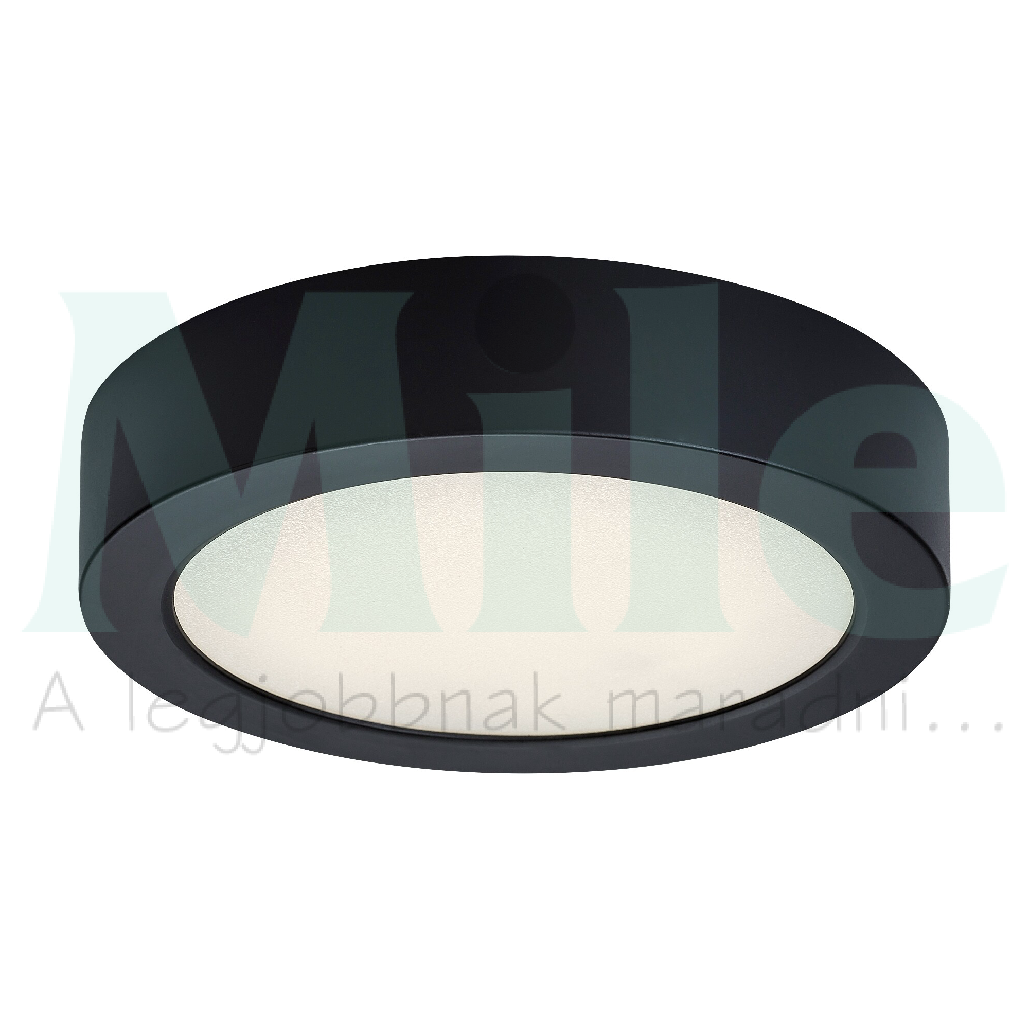 LED mennyezeti lámpatest kerek süllyesztett falonkívüli 1x 15W 230V AC 1450lm 4000K IP20 20000h Shaun2 RÁBALUX