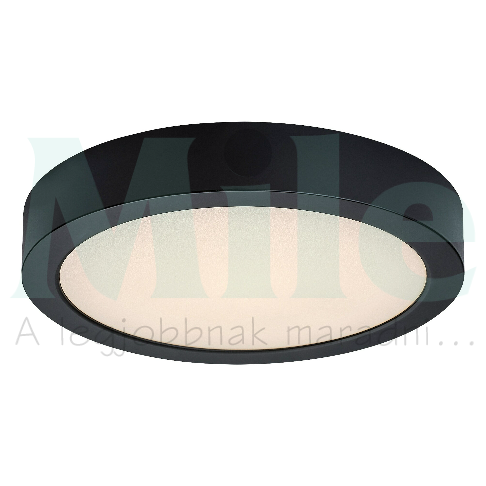 LED mennyezeti lámpatest kerek süllyesztett falonkívüli 1x 24W 230V AC 2390lm 3000K IP20 20000h Shaun2 RÁBALUX