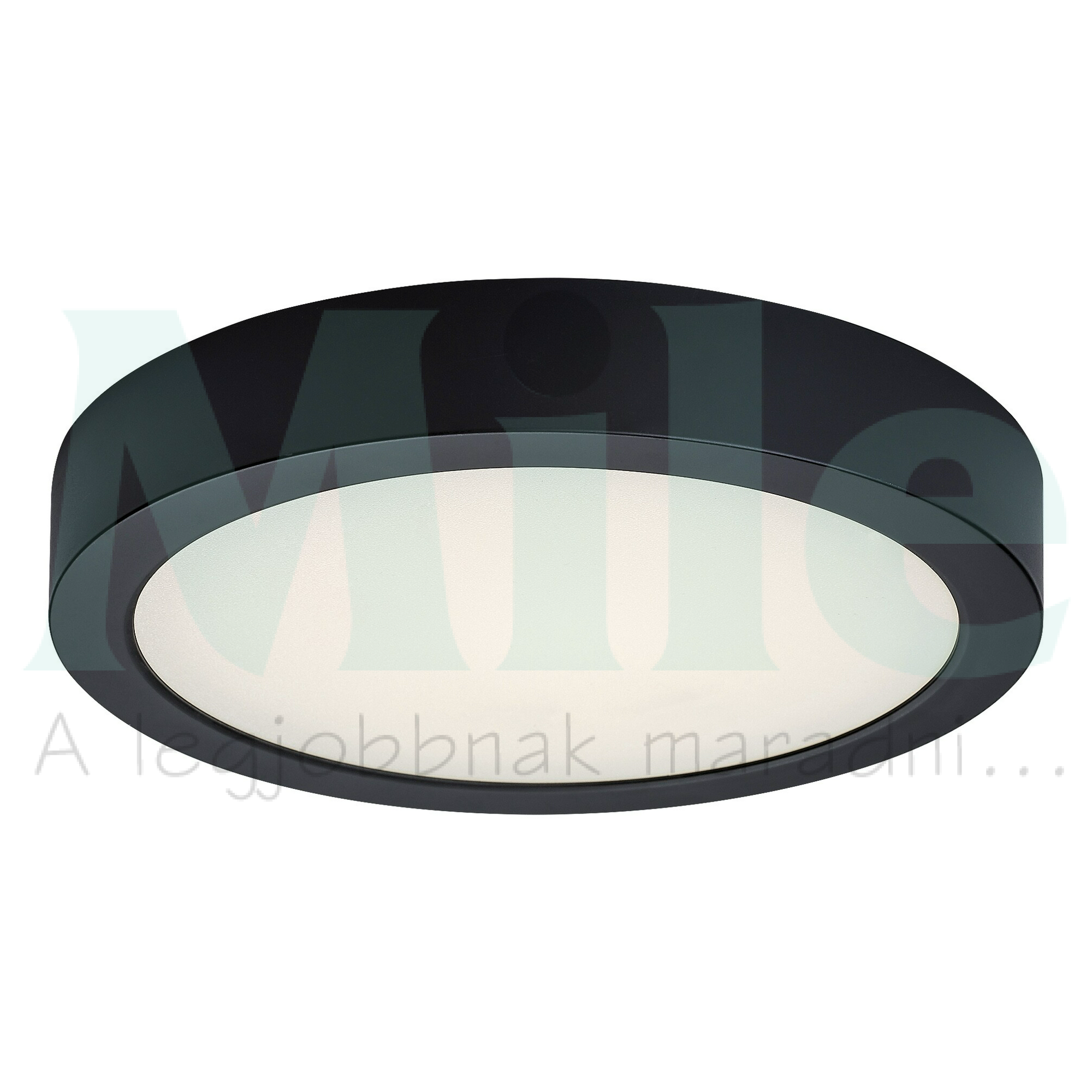 LED mennyezeti lámpatest kerek süllyesztett falonkívüli 1x 24W 230V AC 2580lm 4000K IP20 20000h Shaun2 RÁBALUX