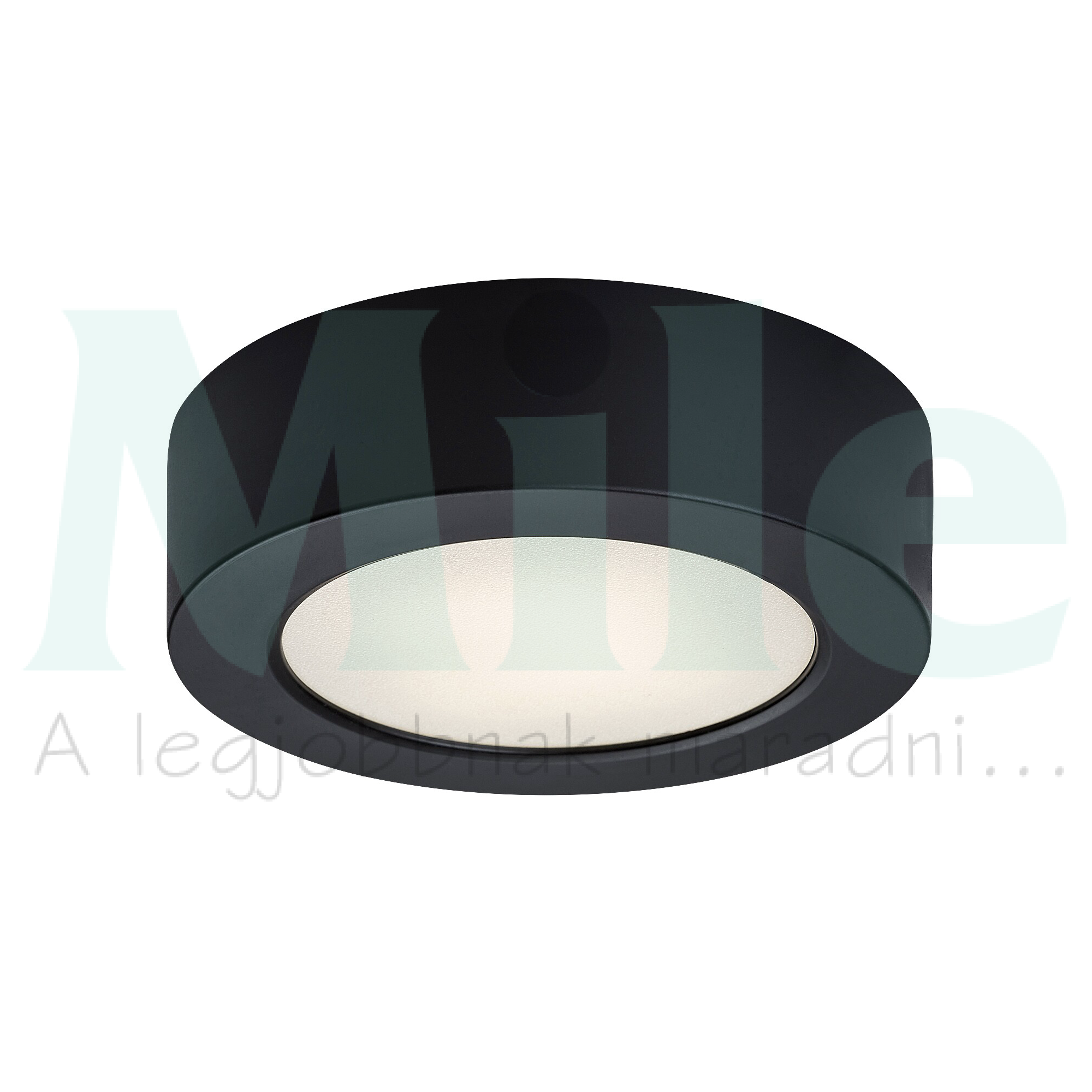 LED mennyezeti lámpatest kerek süllyesztett falonkívüli 1x 7W 230V AC 630lm 4000K IP20 20000h Shaun2 RÁBALUX