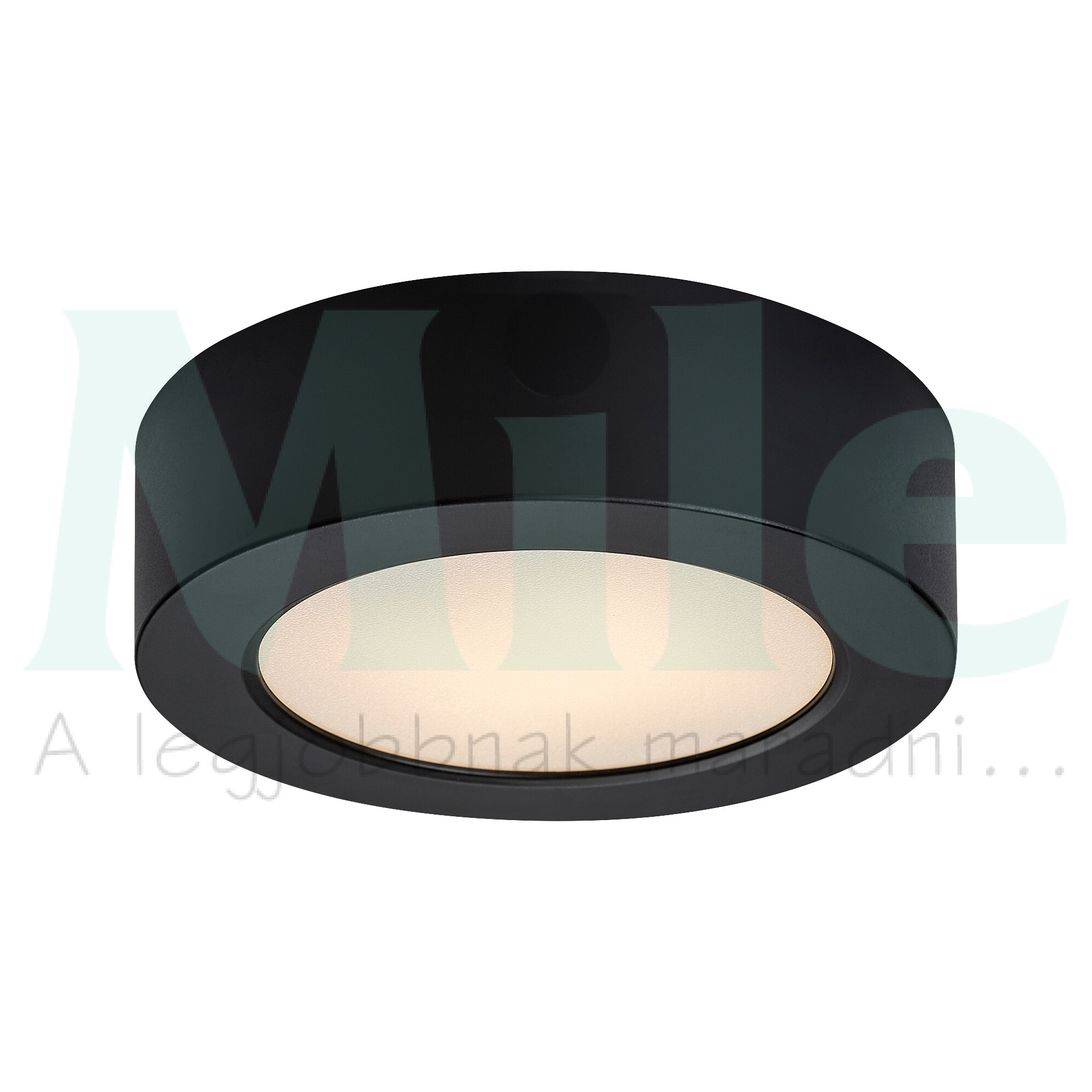 LED mennyezeti lámpatest kerek süllyesztett falonkívüli 1x 7W 230V AC 650lm 3000K IP20 20000h Shaun2 RÁBALUX