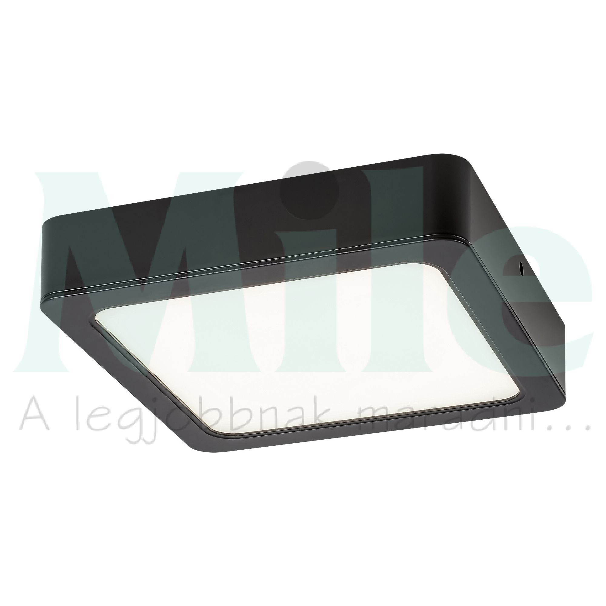 LED mennyezeti lámpatest kerek süllyesztett falonkívüli 1x 7W 230V AC 670lm 3000K IP20 20000h Shaun2 RÁBALUX