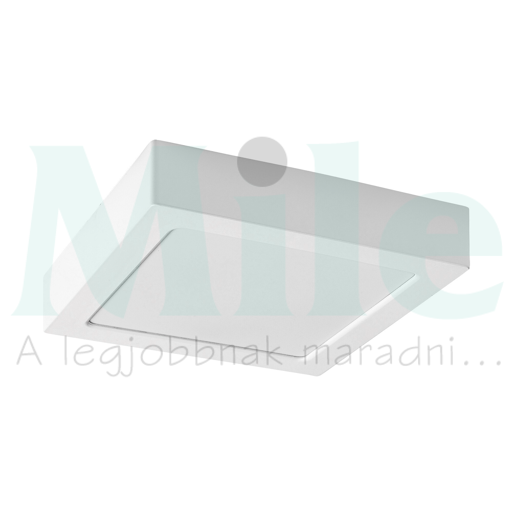 LED mennyezeti lámpatest négyzet süllyesztett falonkívüli 1x 15W 230V AC 1570lm 4000K IP20 20000h Shaun2 RÁBALUX