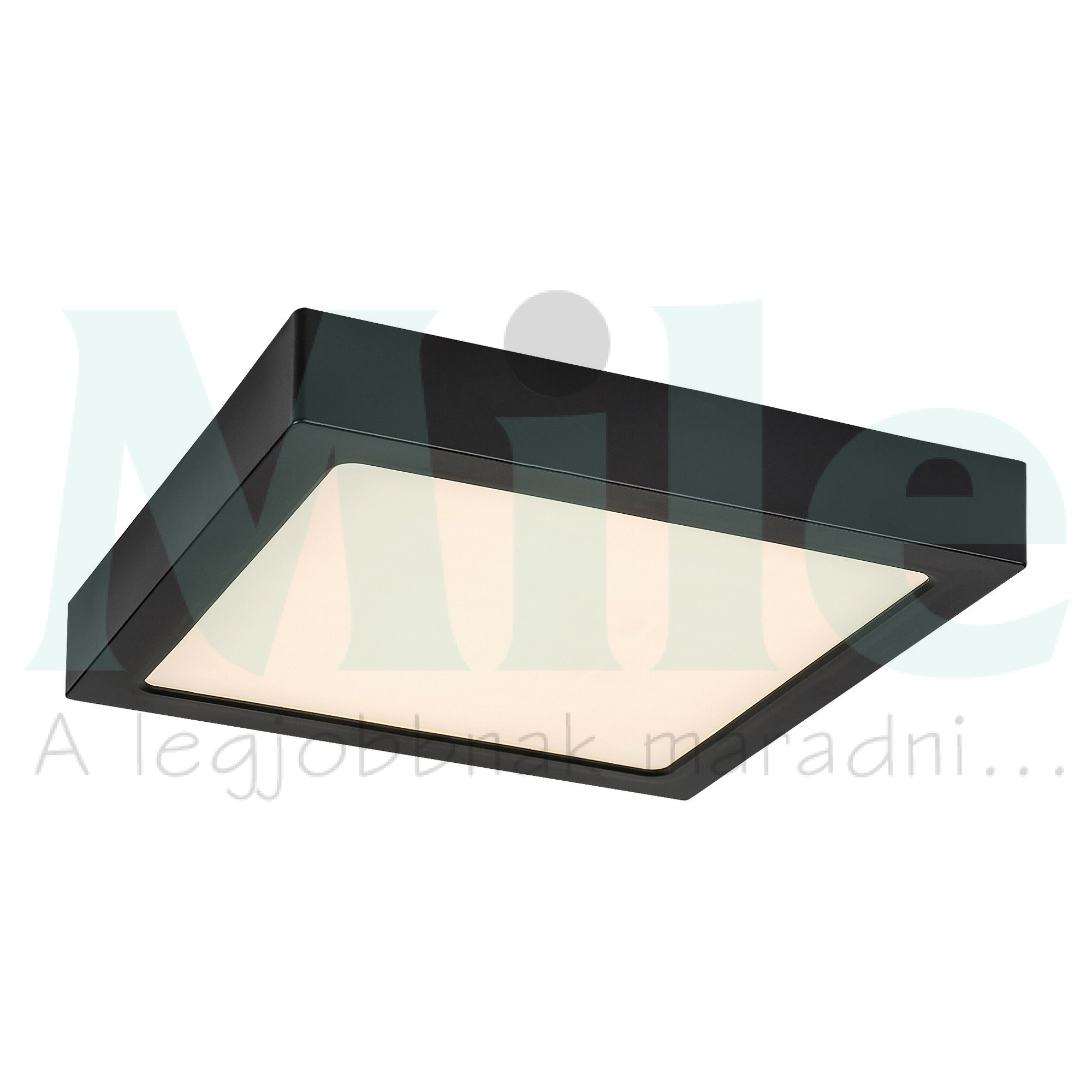 LED mennyezeti lámpatest négyzet süllyesztett falonkívüli 1x 24W 230V AC 2400lm 3000K IP20 20000h Shaun2 RÁBALUX