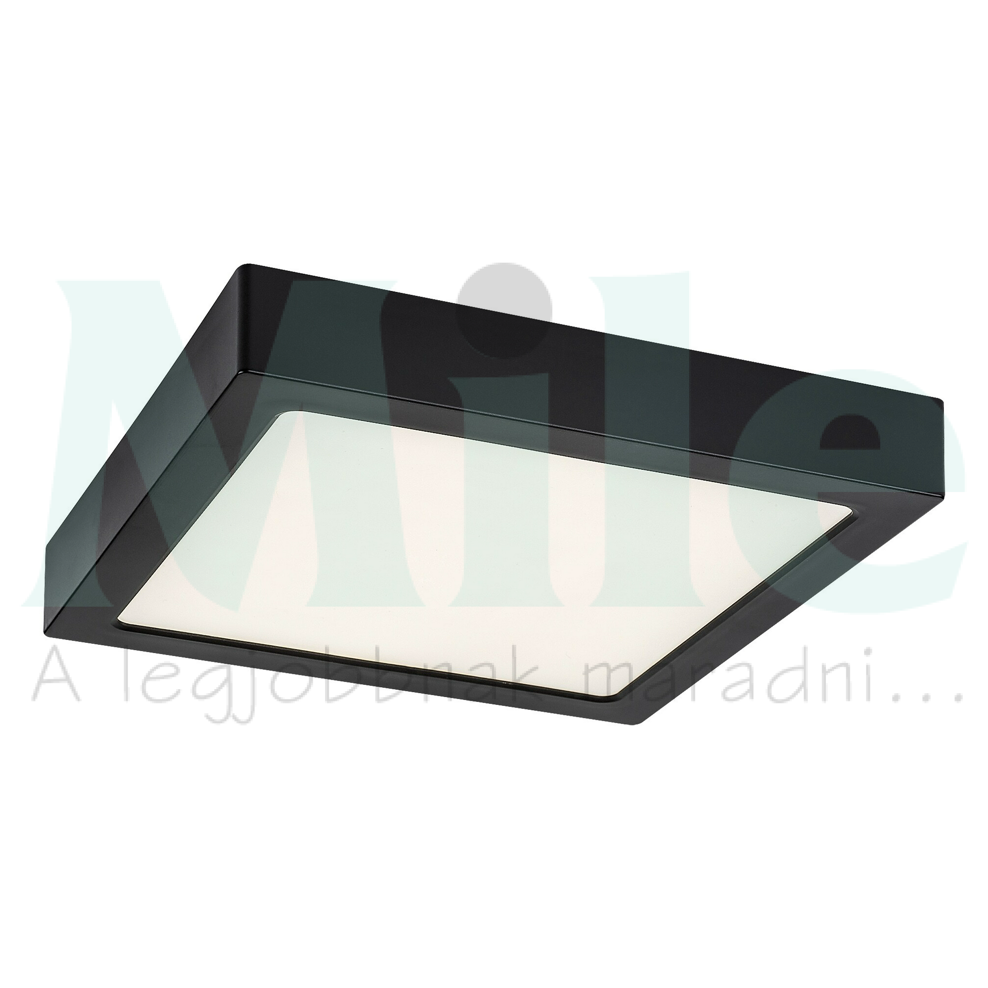 LED mennyezeti lámpatest négyzet süllyesztett falonkívüli 1x 24W 230V AC 2450lm 4000K IP20 20000h Shaun2 RÁBALUX