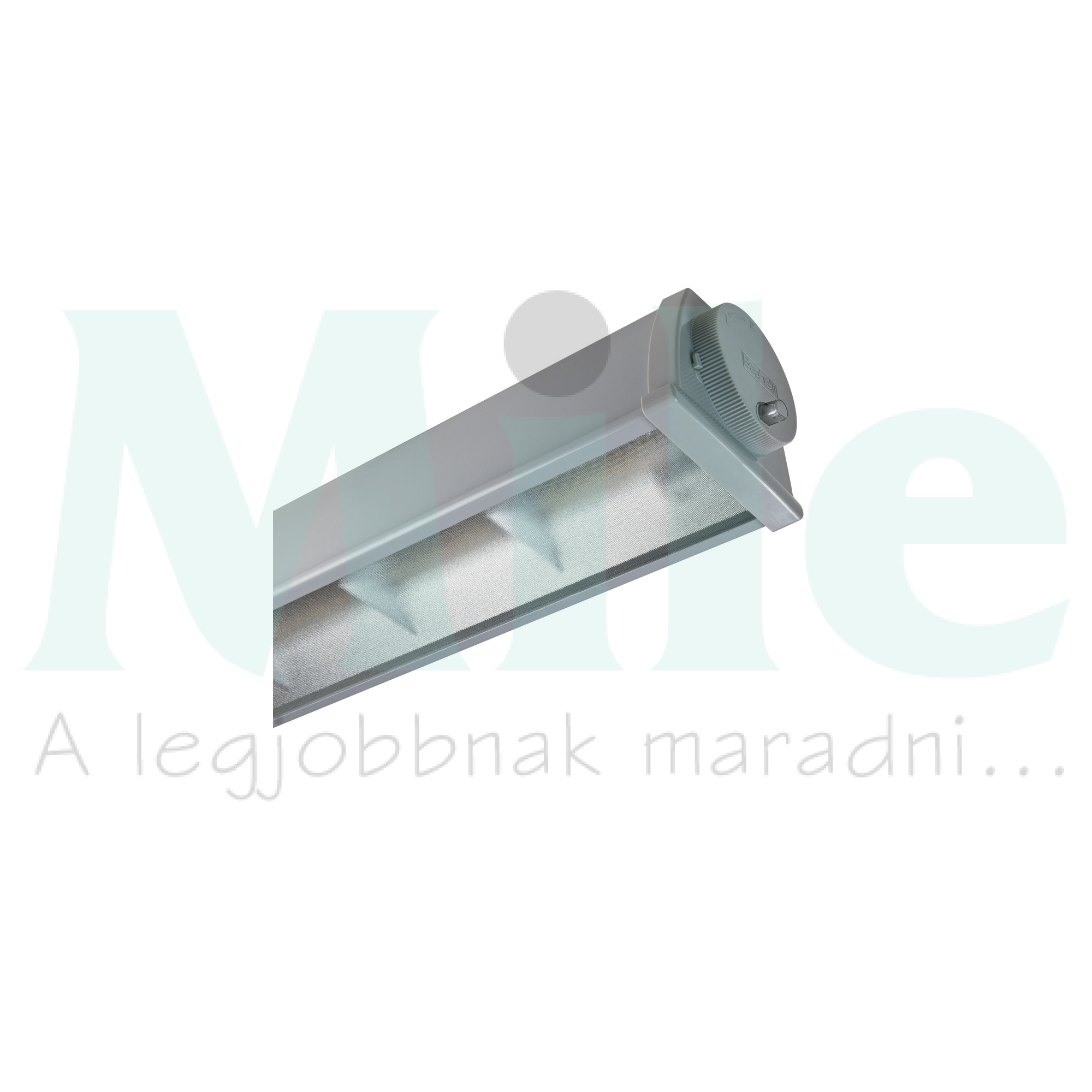 LED porpáramentes lámpatest 4900-8000lm falonkívüli 1x 28-51W 93-265V AC Acciaio Reg Beghelli