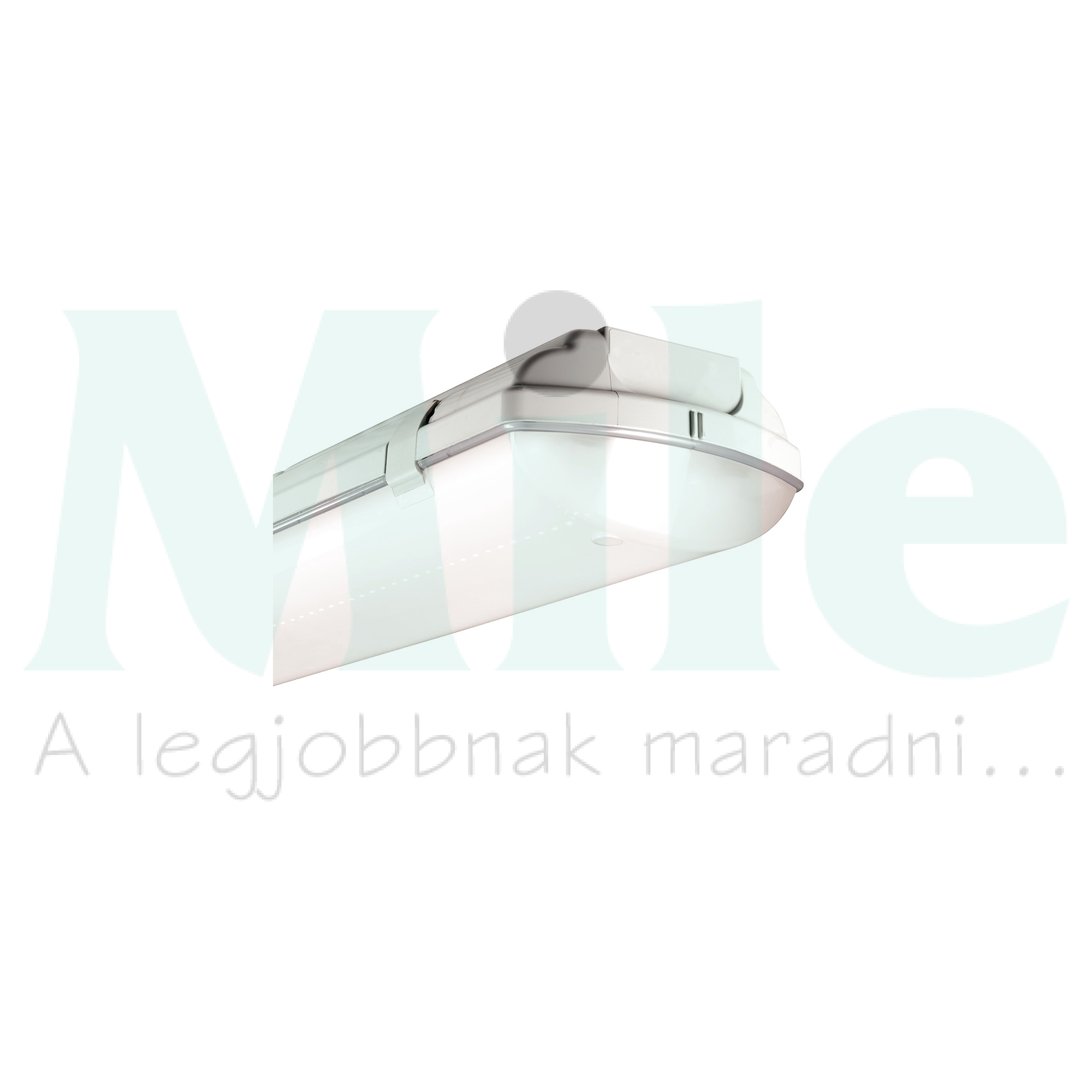 LED porpáramentes lámpatest 5000-8000lm falonkívüli 1x 39-53W 230V AC BS100 LED REG Beghelli