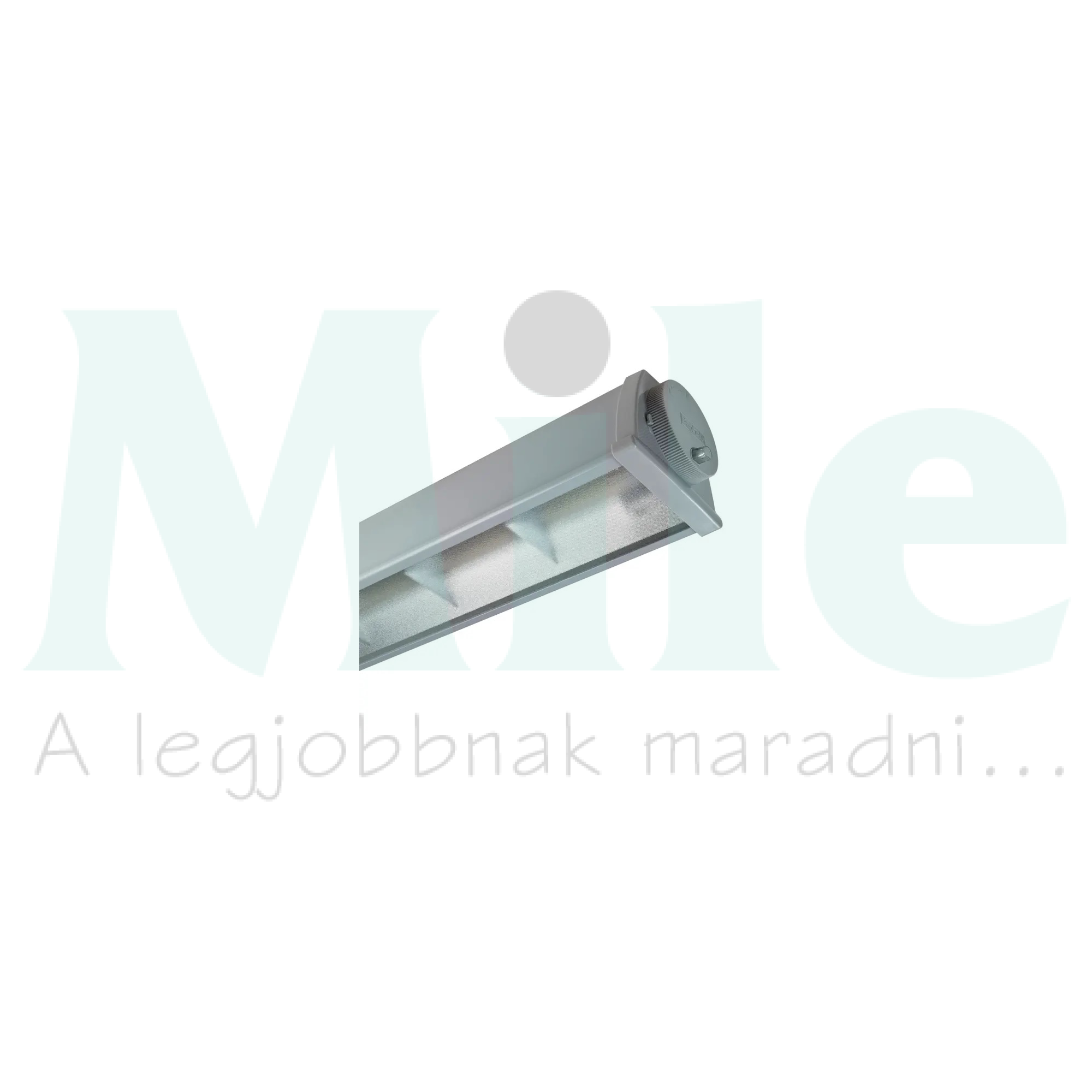 LED porpáramentes lámpatest Ex (ATEX) falonkívüli 1x 68W 176-250V AC/DC Acciaio TOP LED Beghelli