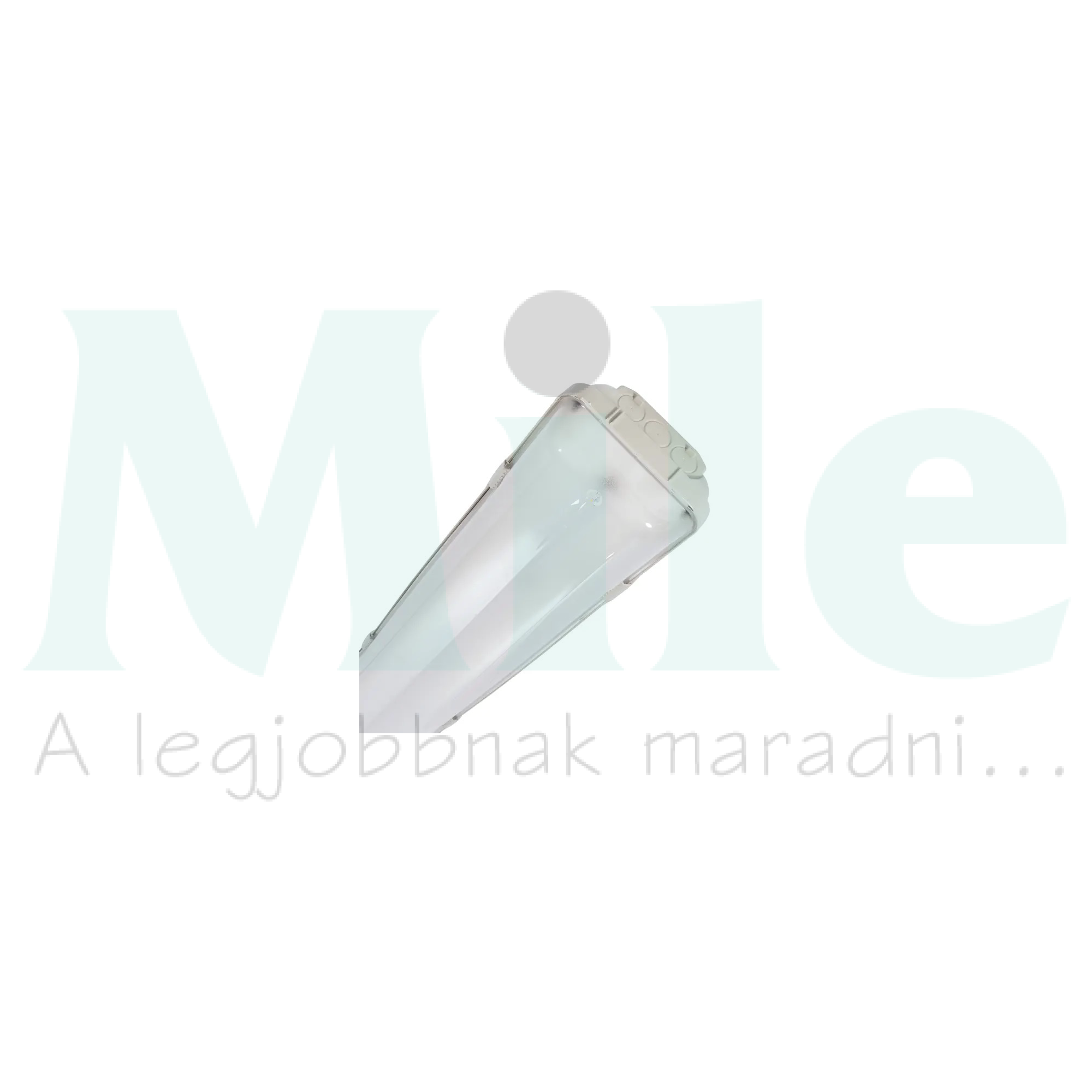 LED porpáramentes lámpatest falonkívüli 1x 53W 207-253V 3000lm 4000K IP65 Saving Stagna Beghelli