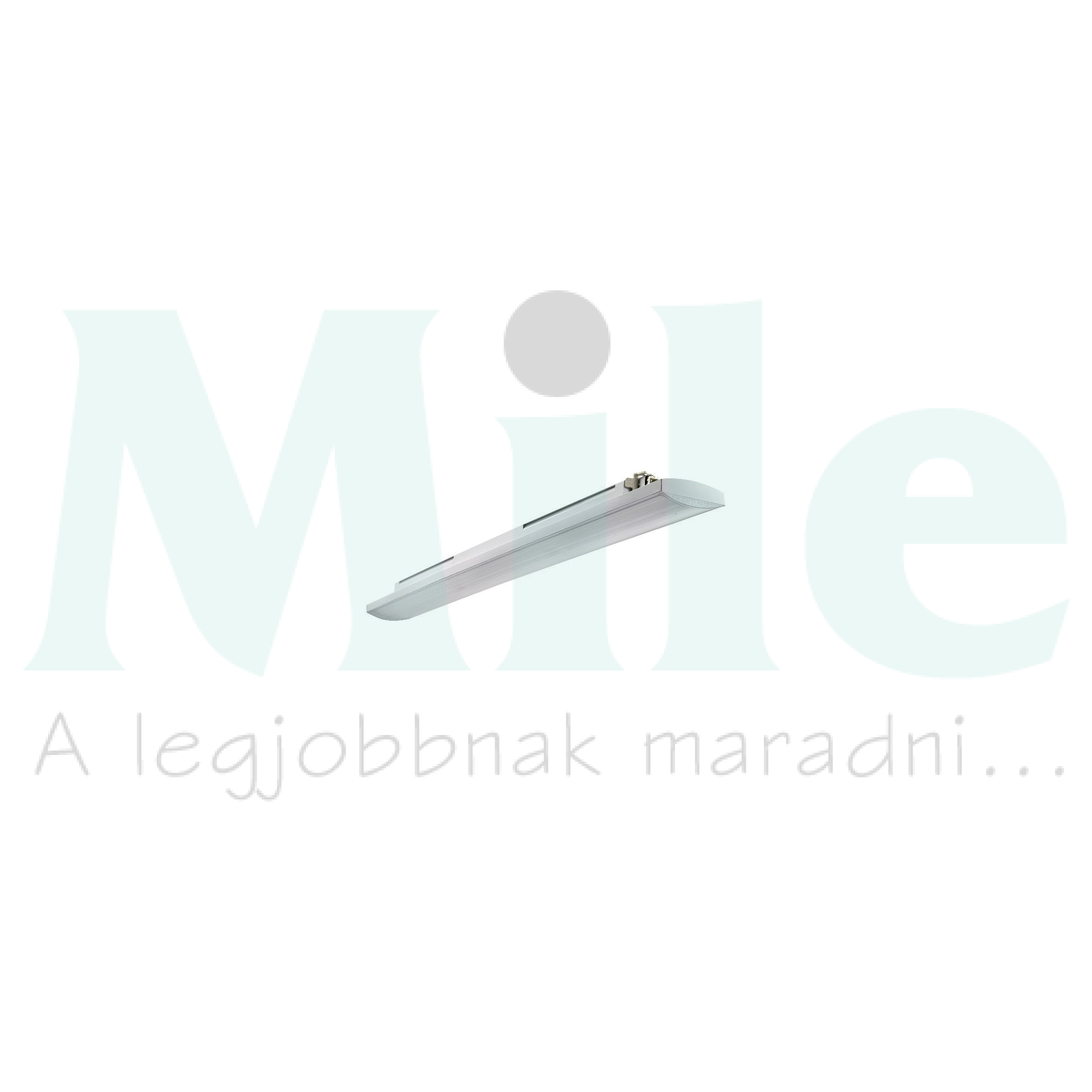 LED porpáramentes lámpatest falonkívüli 1x 56W 220-240V AC 6200lm 4000K IP66 Smart3 GEWISS