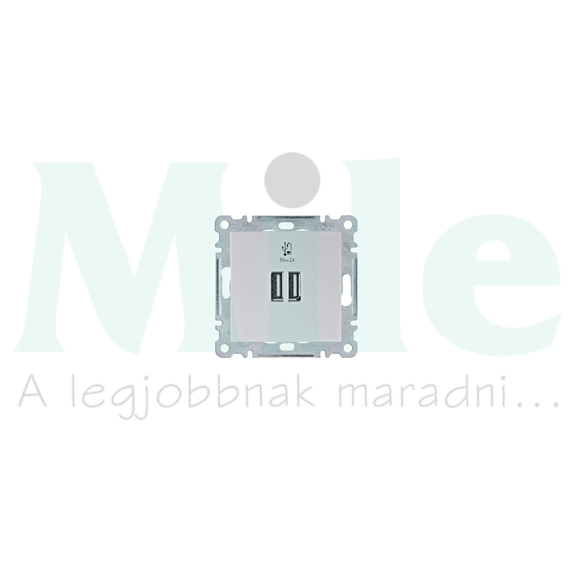 Lumina USB töltőaljzat A 2x 2000mA-max. 5V süllyesztett ezüst WL Hager