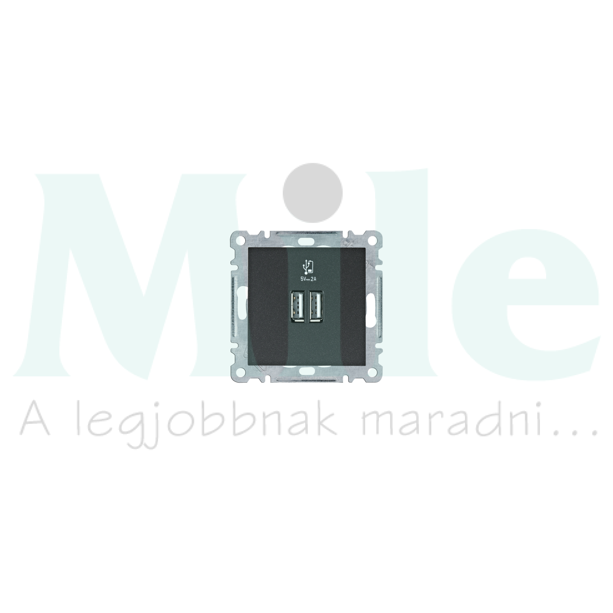 Lumina USB töltőaljzat A 2x 2000mA-max. 5V süllyesztett fekete WL Hager