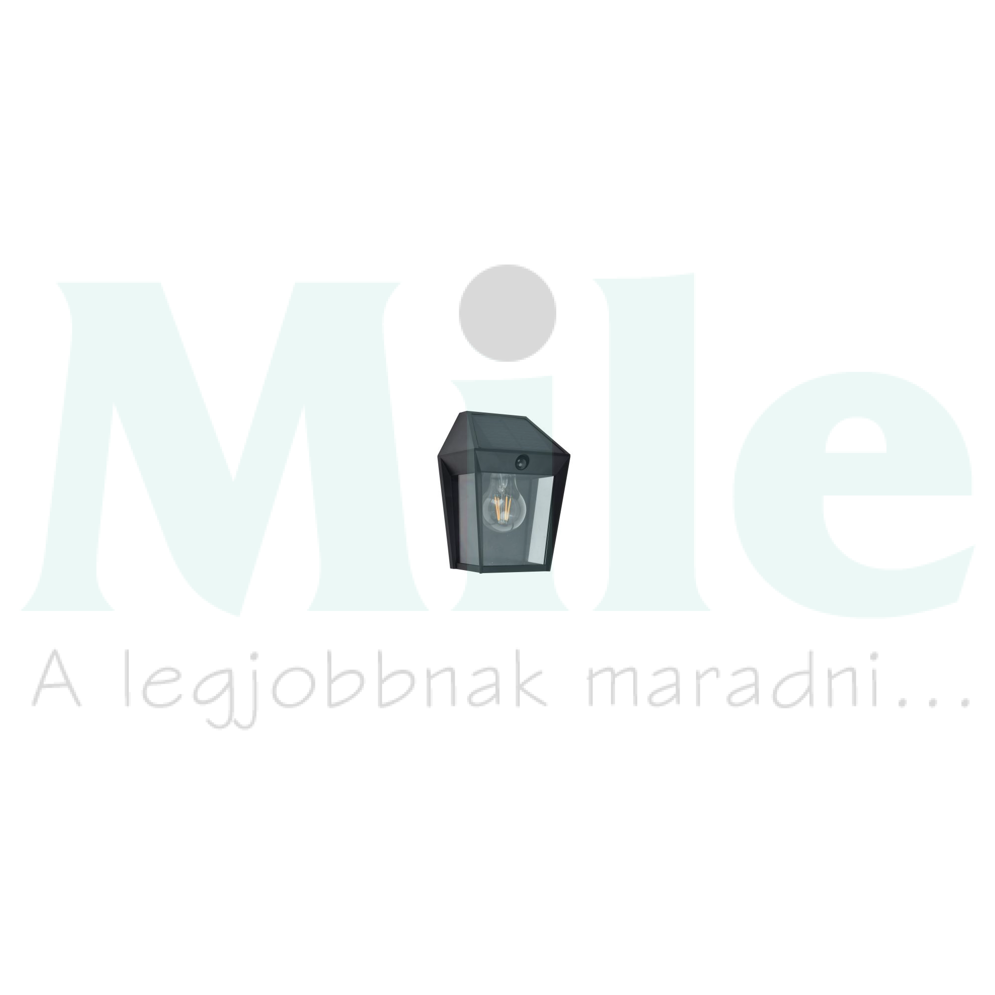 LUTEC 6916002330 AVONY SOLAR kültéri fali 1*E27 IP44+SZENZOR