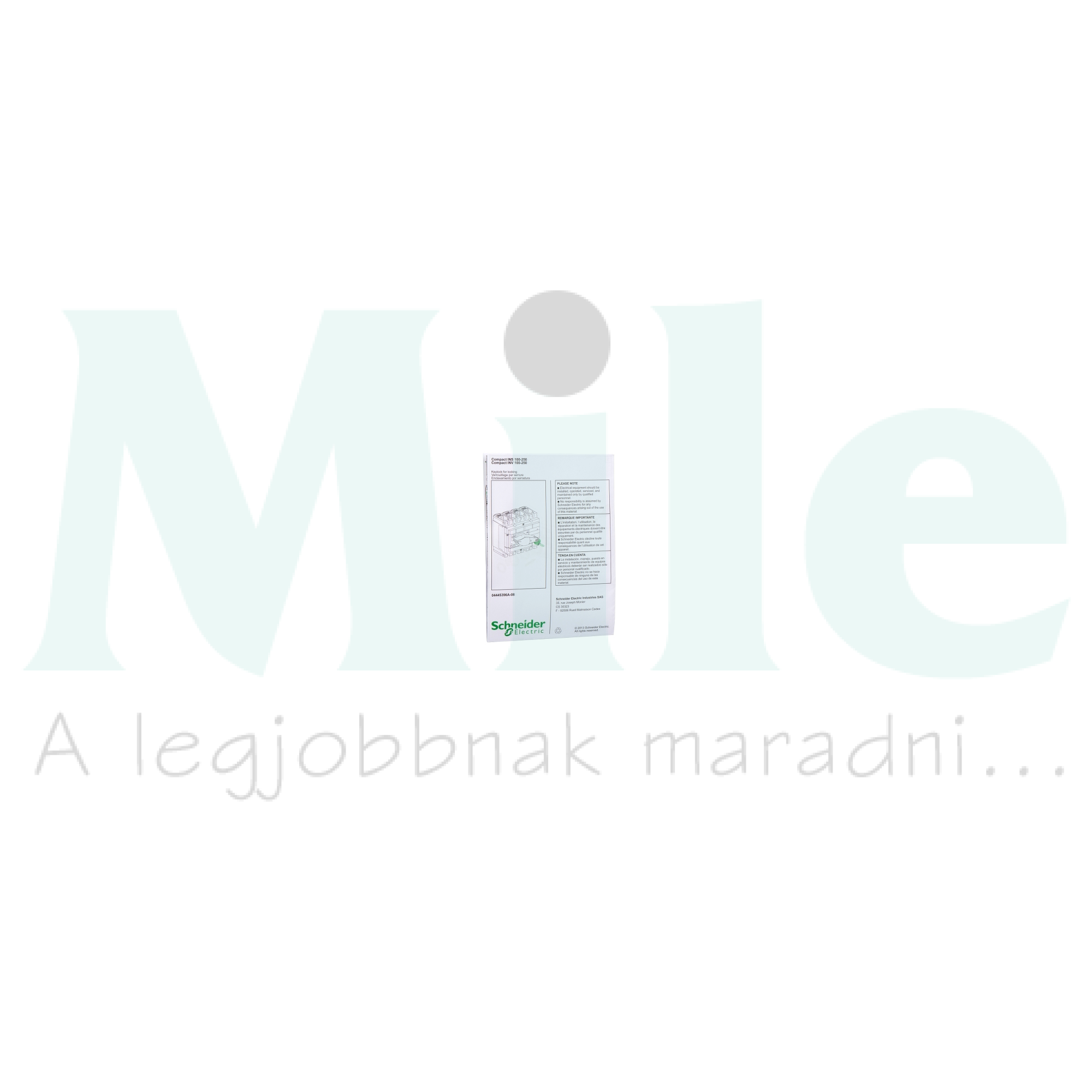 Mechanikus reteszelés INS-hez NS100-250 Schneider