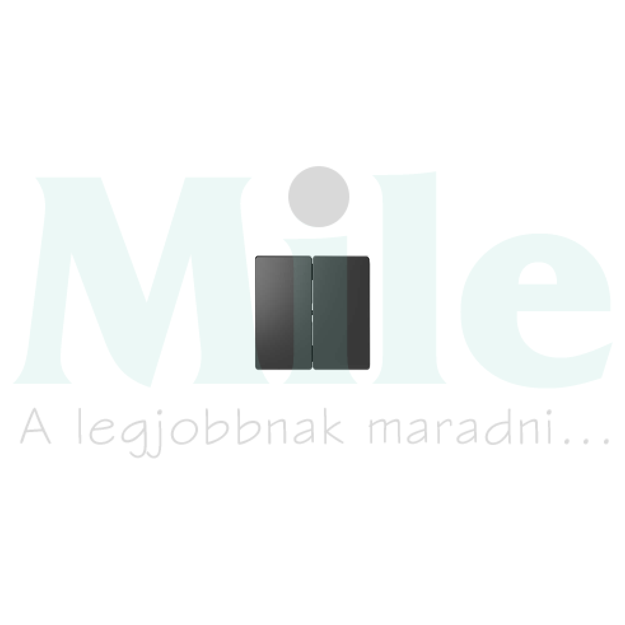 Merten D-Life billentyű kettős kapcs/nyg.-hoz antracit üres-jel IP20 műanyag matt Schneider