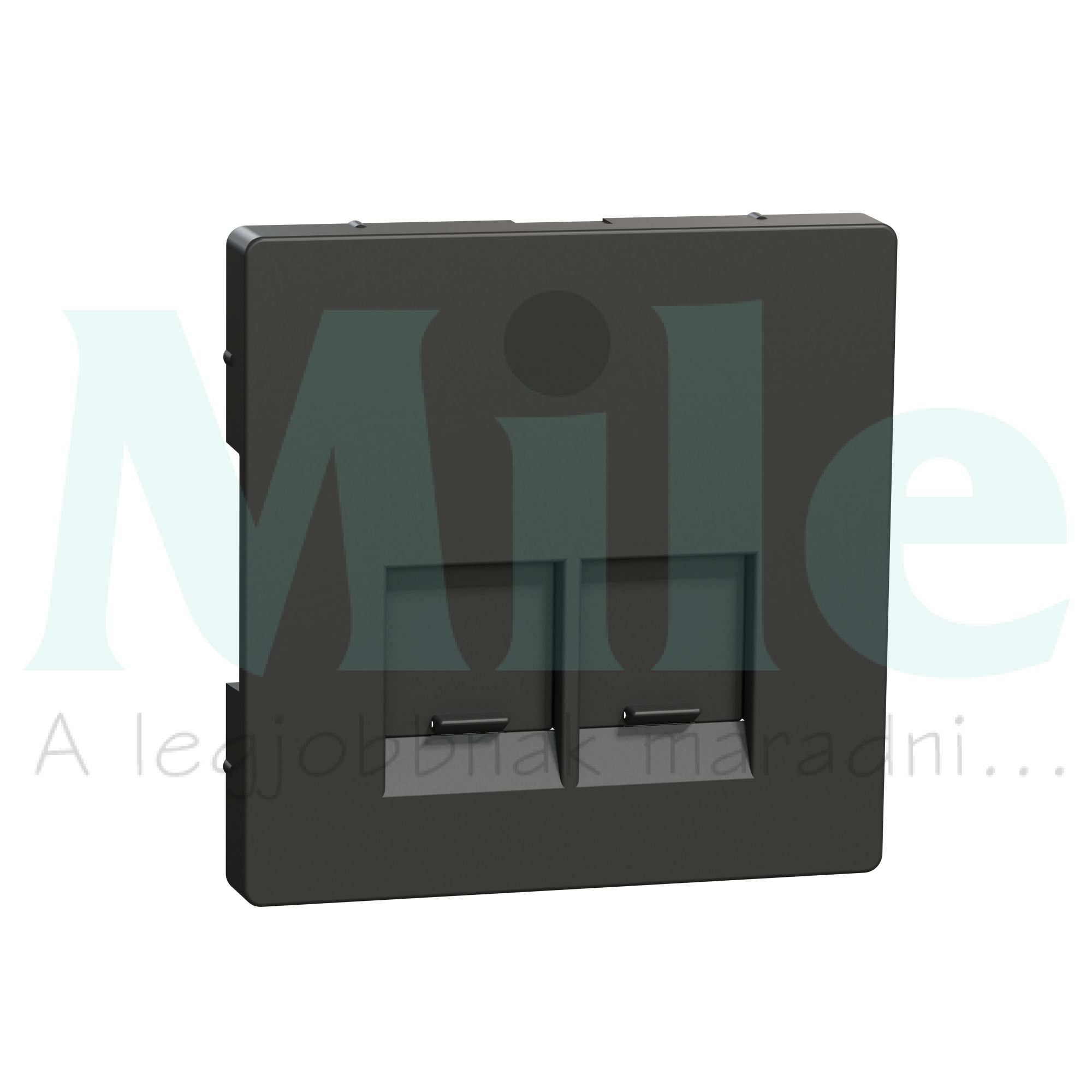 Merten D-Life fedlap 2xRJ45 adatcsatlakozóhoz műanyag antracit Schneider