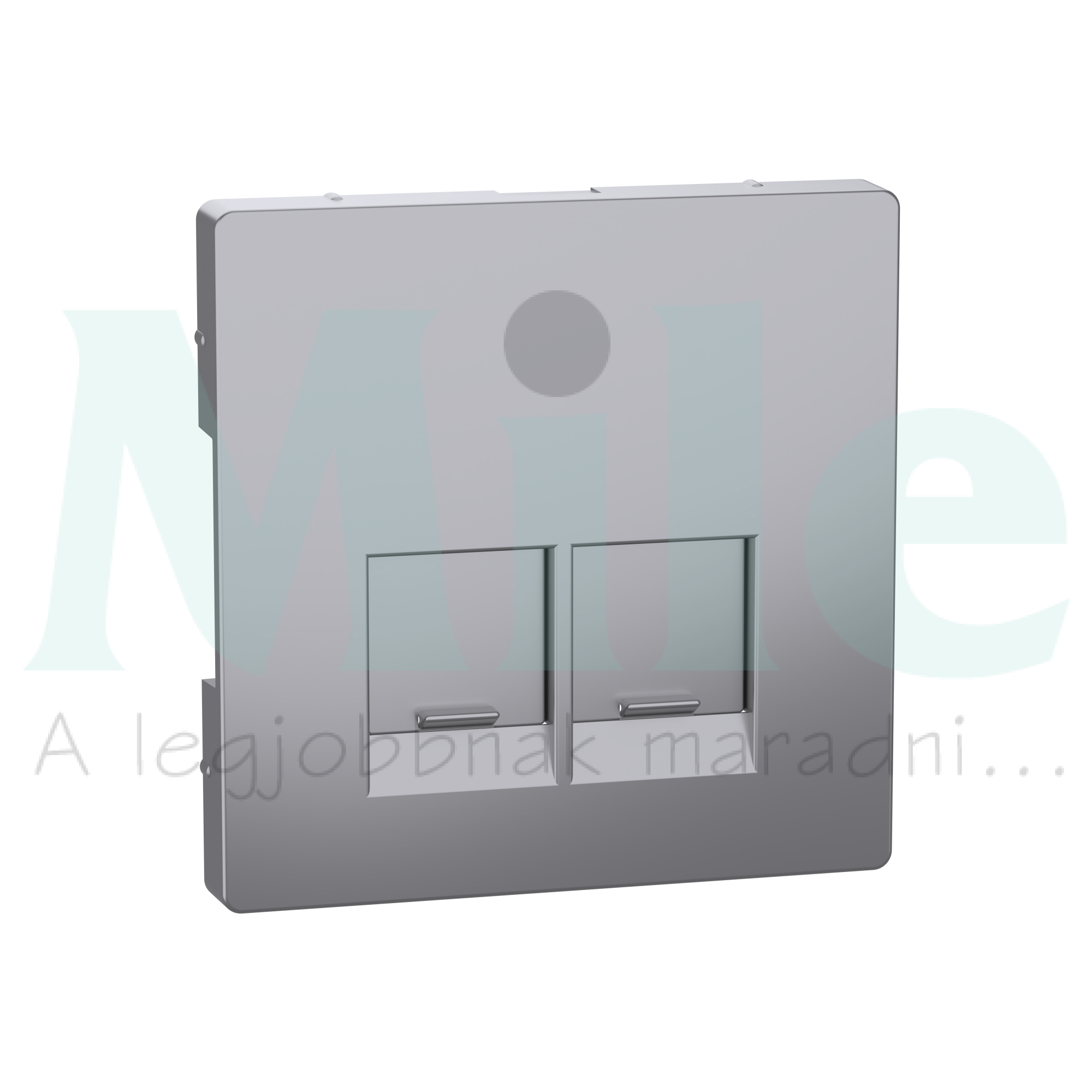 Merten D-Life fedlap 2xRJ45 adatcsatlakozóhoz műanyag nemesacél Schneider