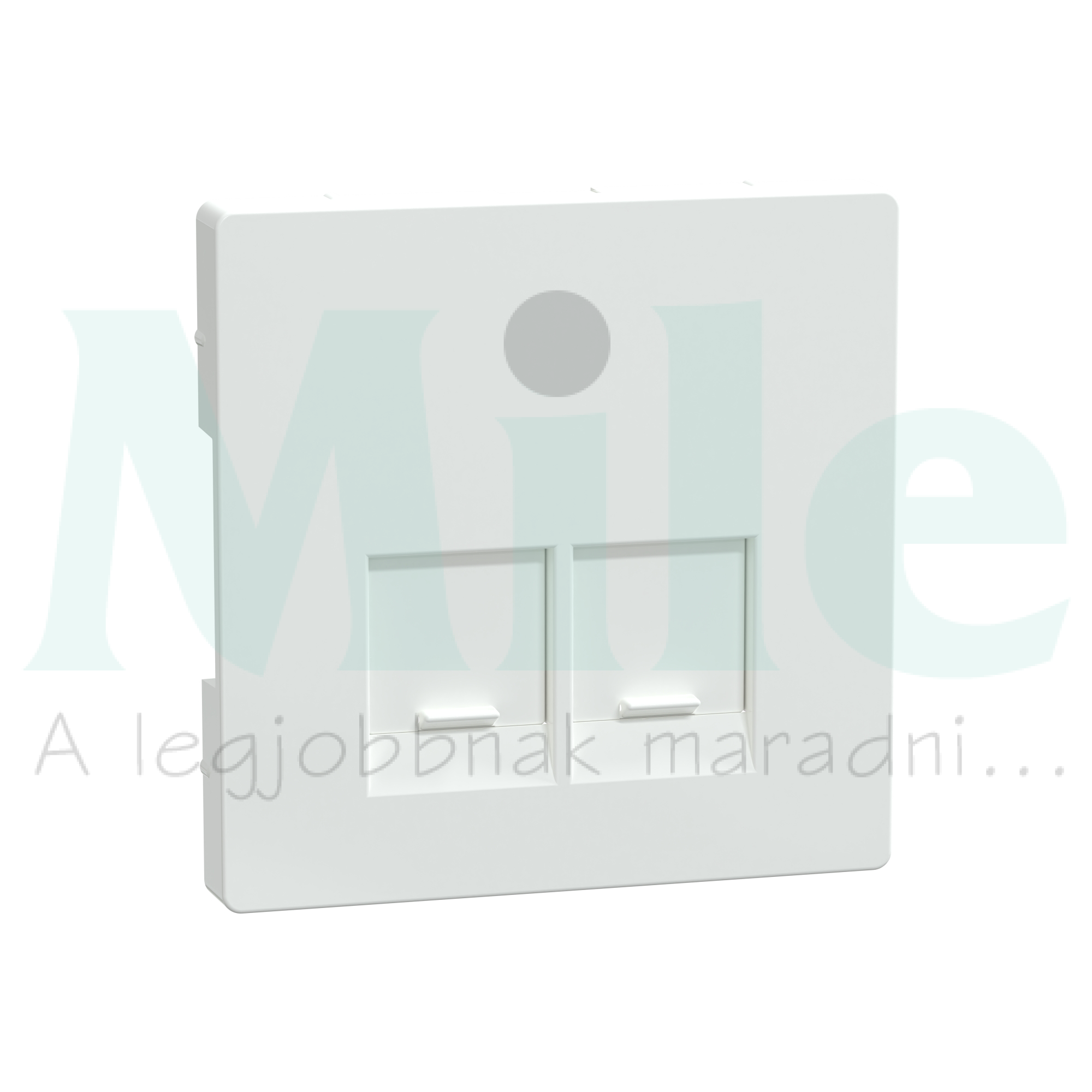 Merten D-Life fedlap 2xRJ45 adatcsatlakozóhoz műanyag Schneider