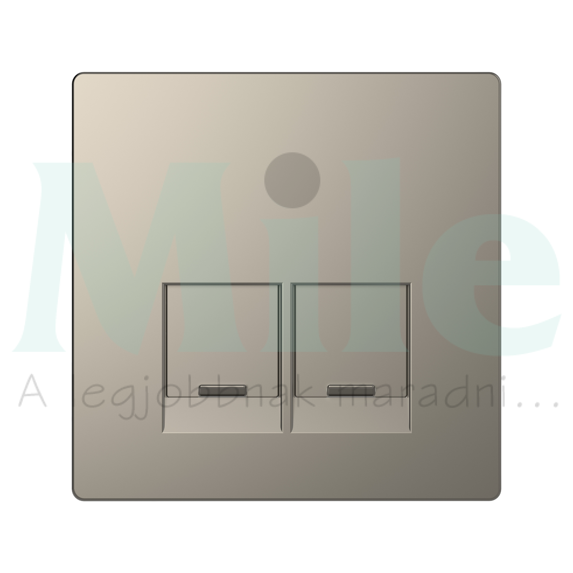 Merten D-Life fedlap 2xRJ45 adatcsatlakozóhoz műanyag Schneider