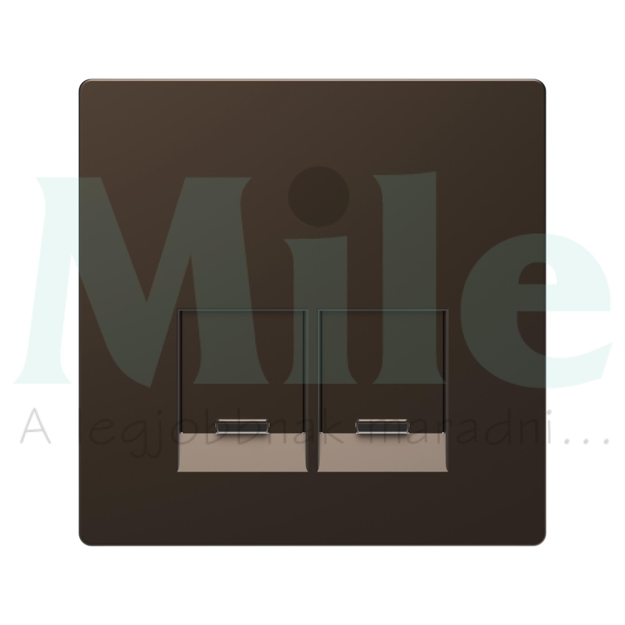 Merten D-Life fedlap 2xRJ45 adatcsatlakozóhoz műanyag Schneider