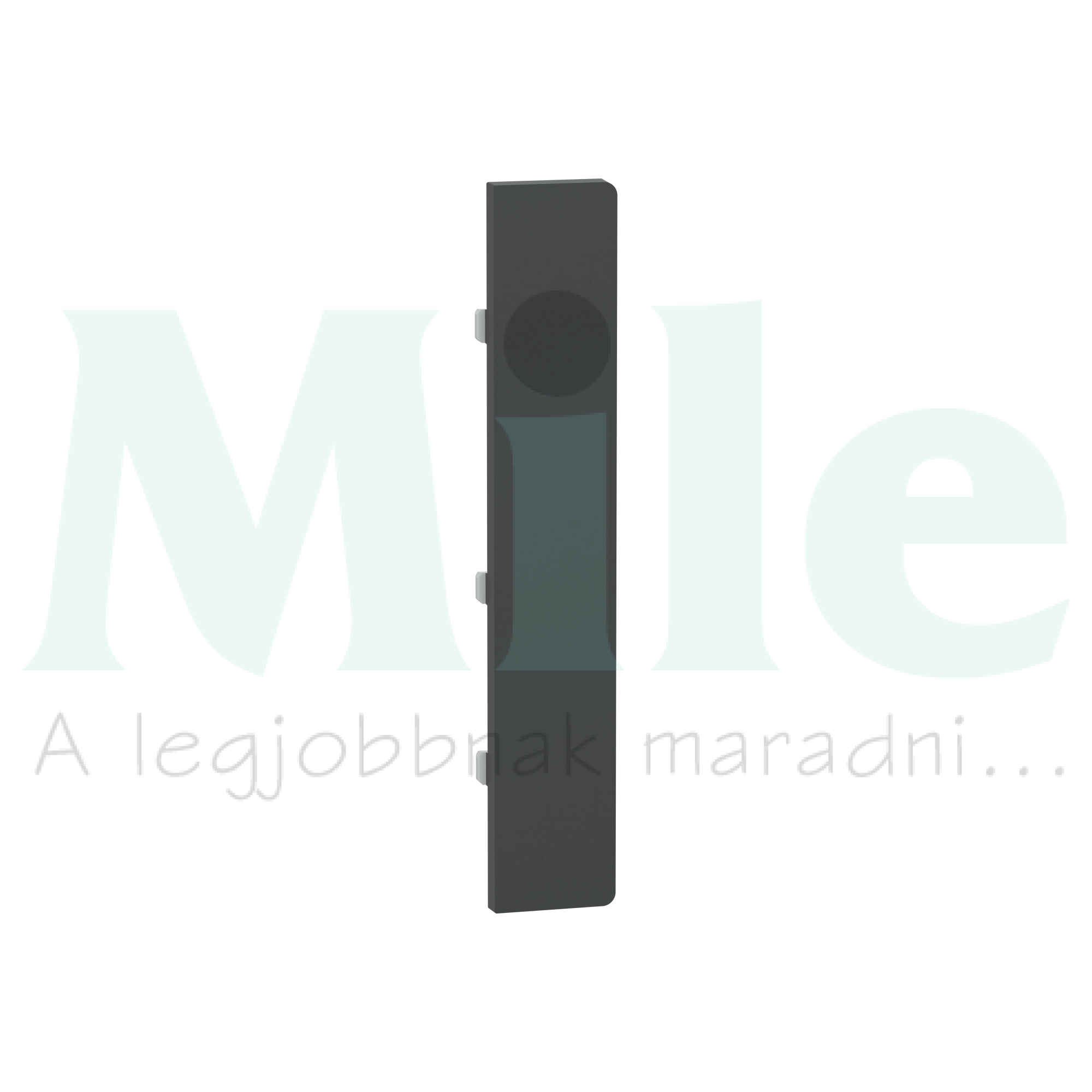 Merten-SD KNX gomblap 1pár=2gomb PB Flex antracit MTN6191-hez Schneider