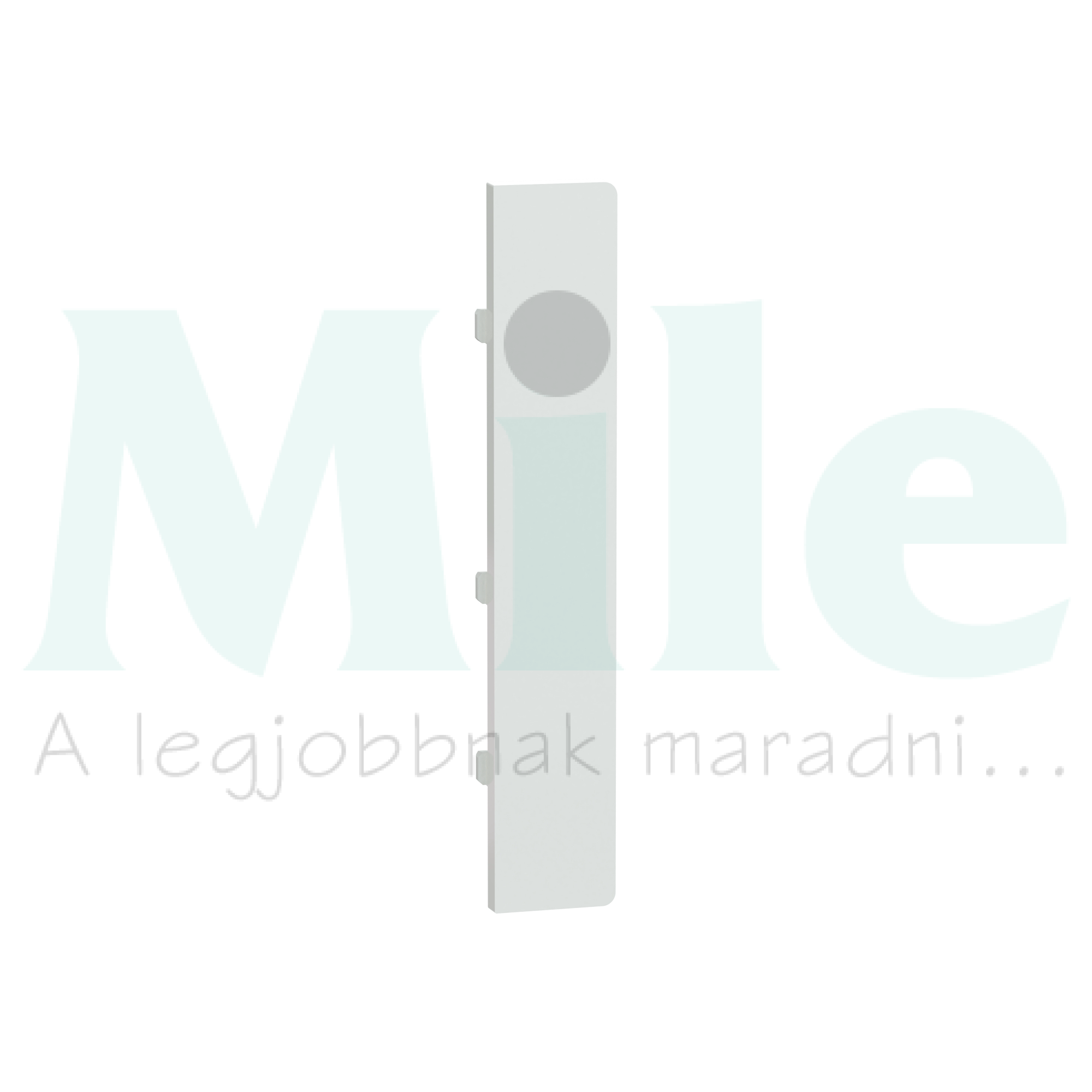 Merten-SD KNX gomblap 1pár=2gomb PB Flex fehér MTN6191-hez Schneider