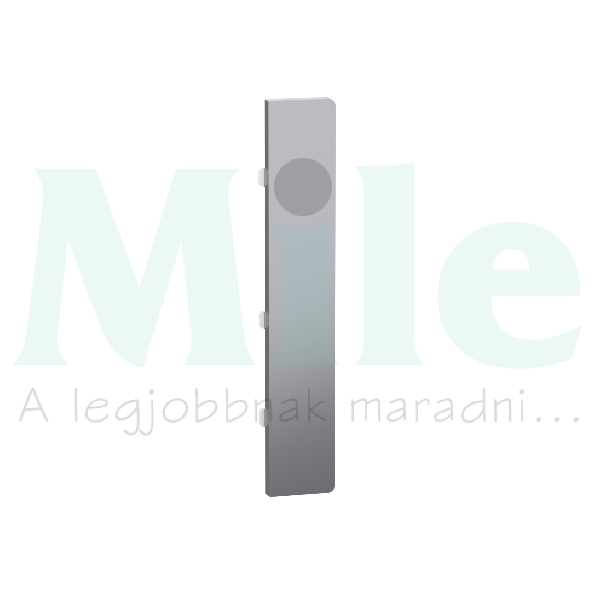 Merten-SD KNX gomblap 1pár=2gomb PB Flex nemesacél MTN6191-hez Schneider