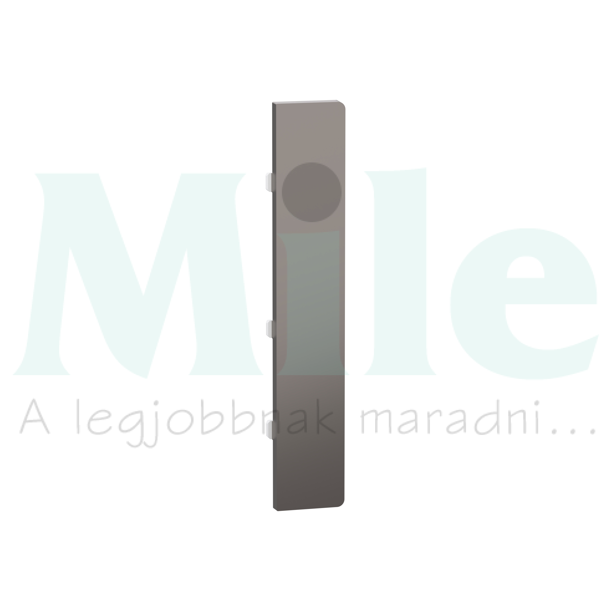 Merten-SD KNX gomblap 1pár=2gomb PB Flex nikkel MTN6191-hez Schneider