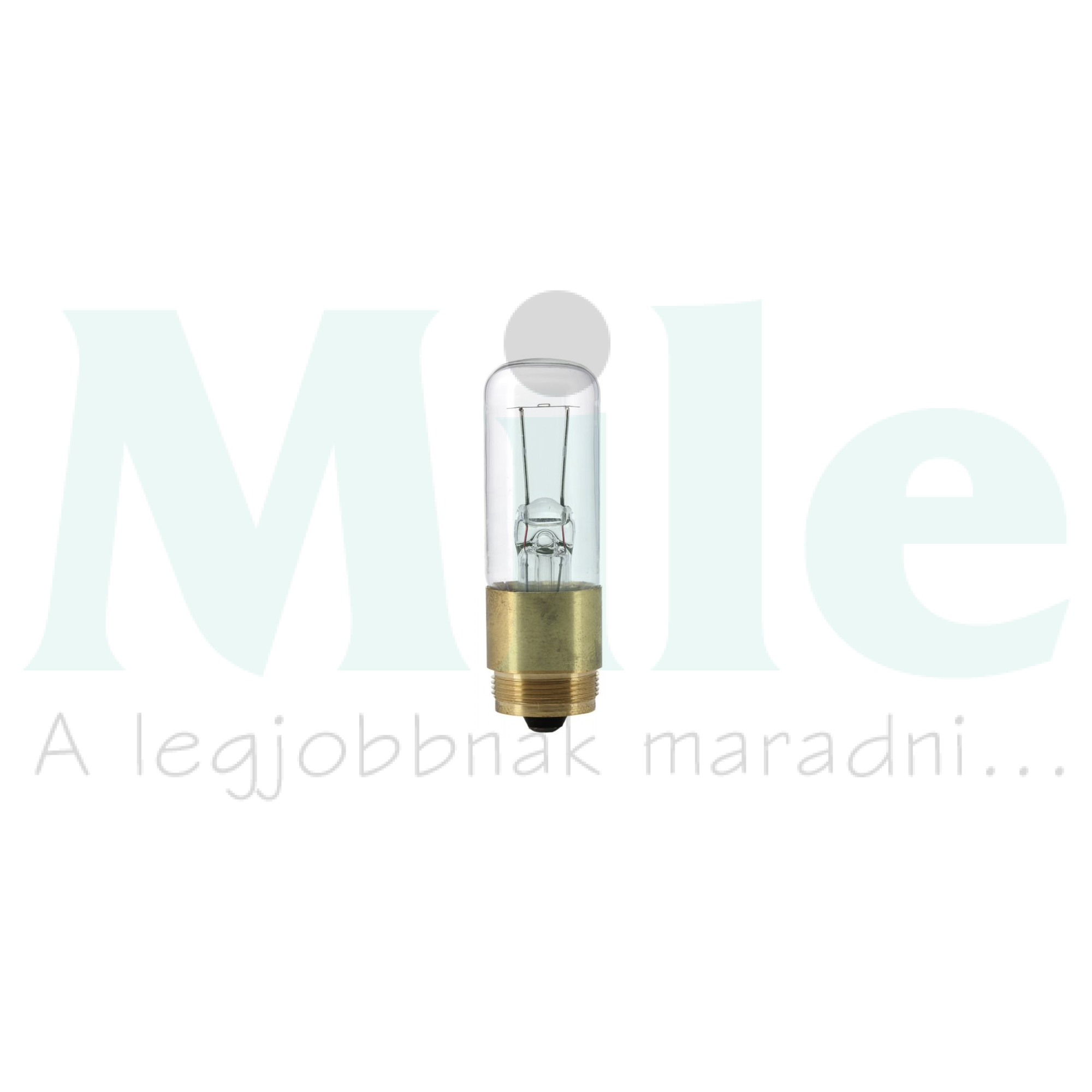 Mikroszkóp lámpa Z16 100h izzó 15W 6V 220lm LWT-P5T NARVA