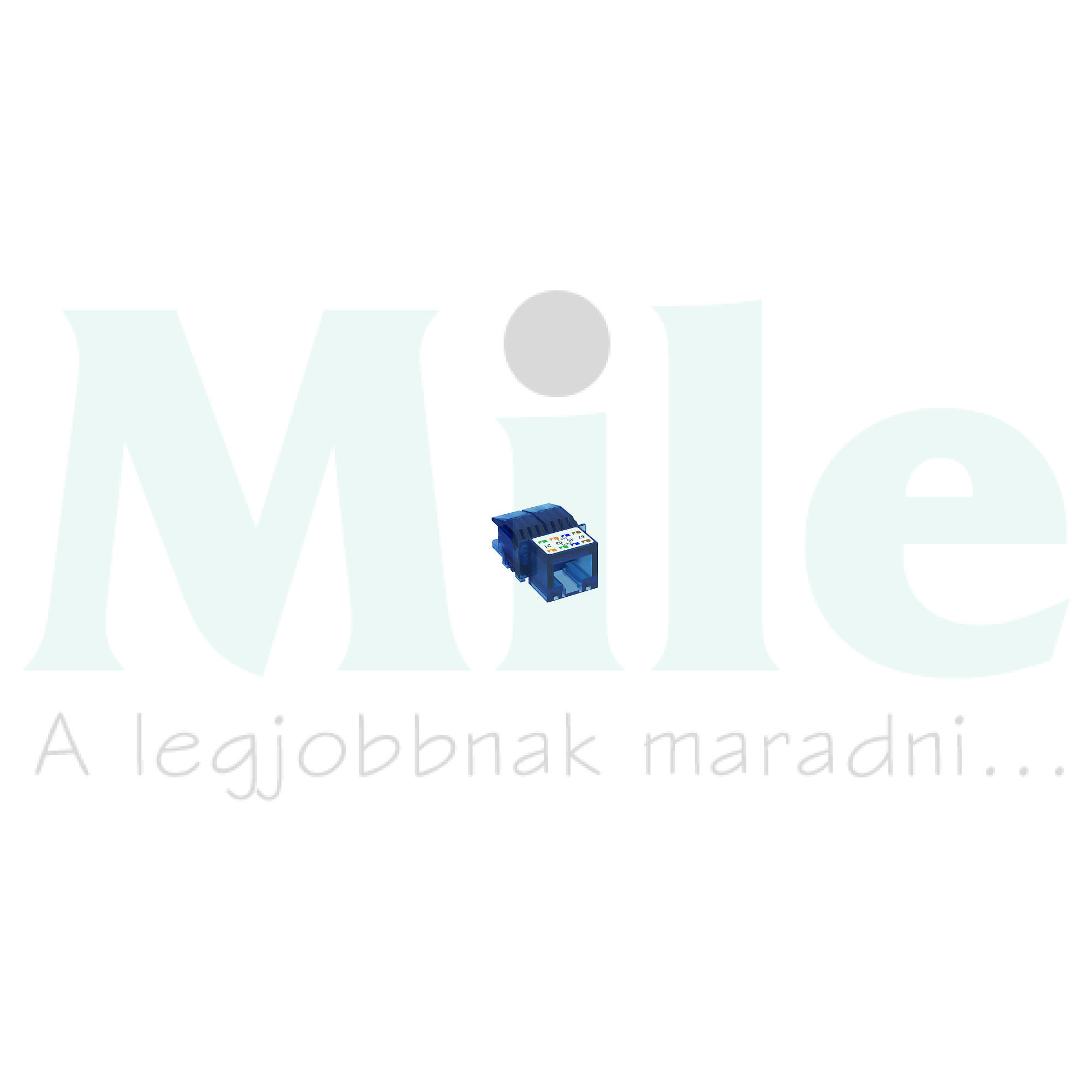 Modul45 adatcsatlakozó Modul45 RJ45 8(8) dugalj Cat6 ASM-C6 OBO-BETTERMANN