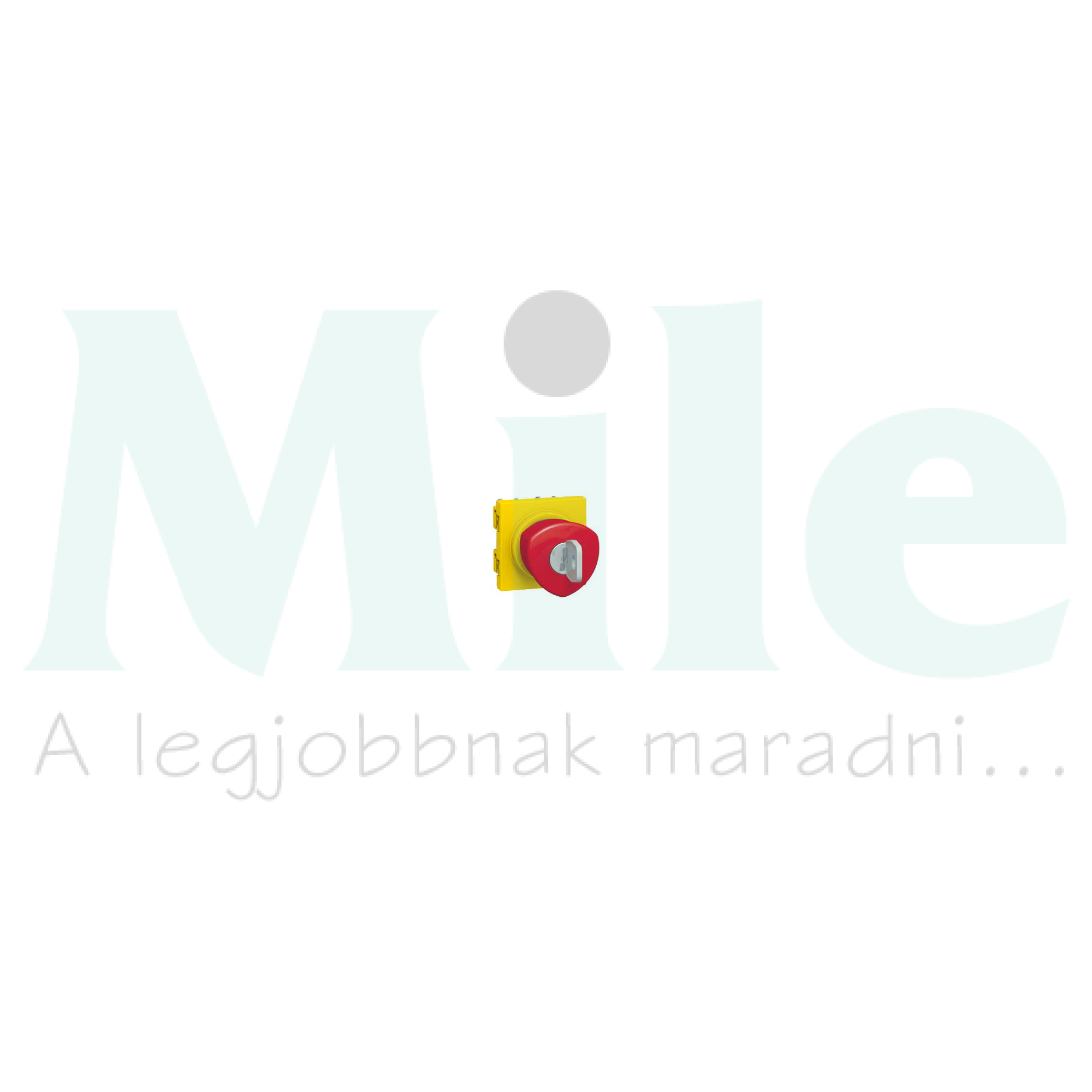 Mosaic vészgomba-nyomó komplett 2mod 1ny 1z süllyesztett kulcsos nyugtázás csavaros LEGRAND