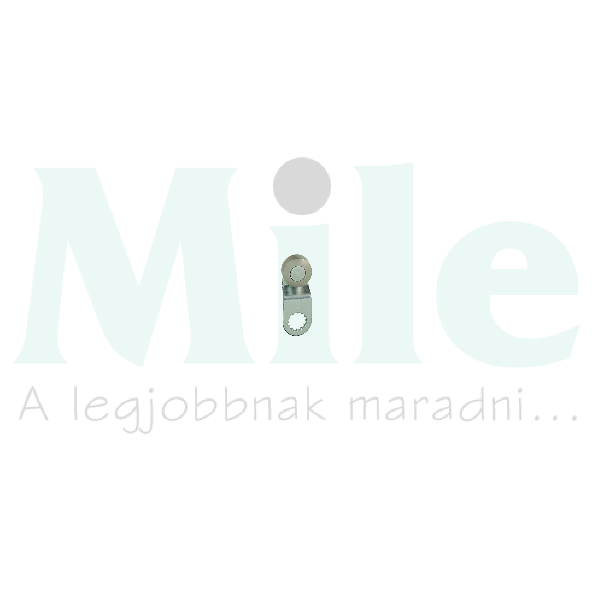 Működtető végálláskapcsolóhoz acél görgős kar OsiSense XC