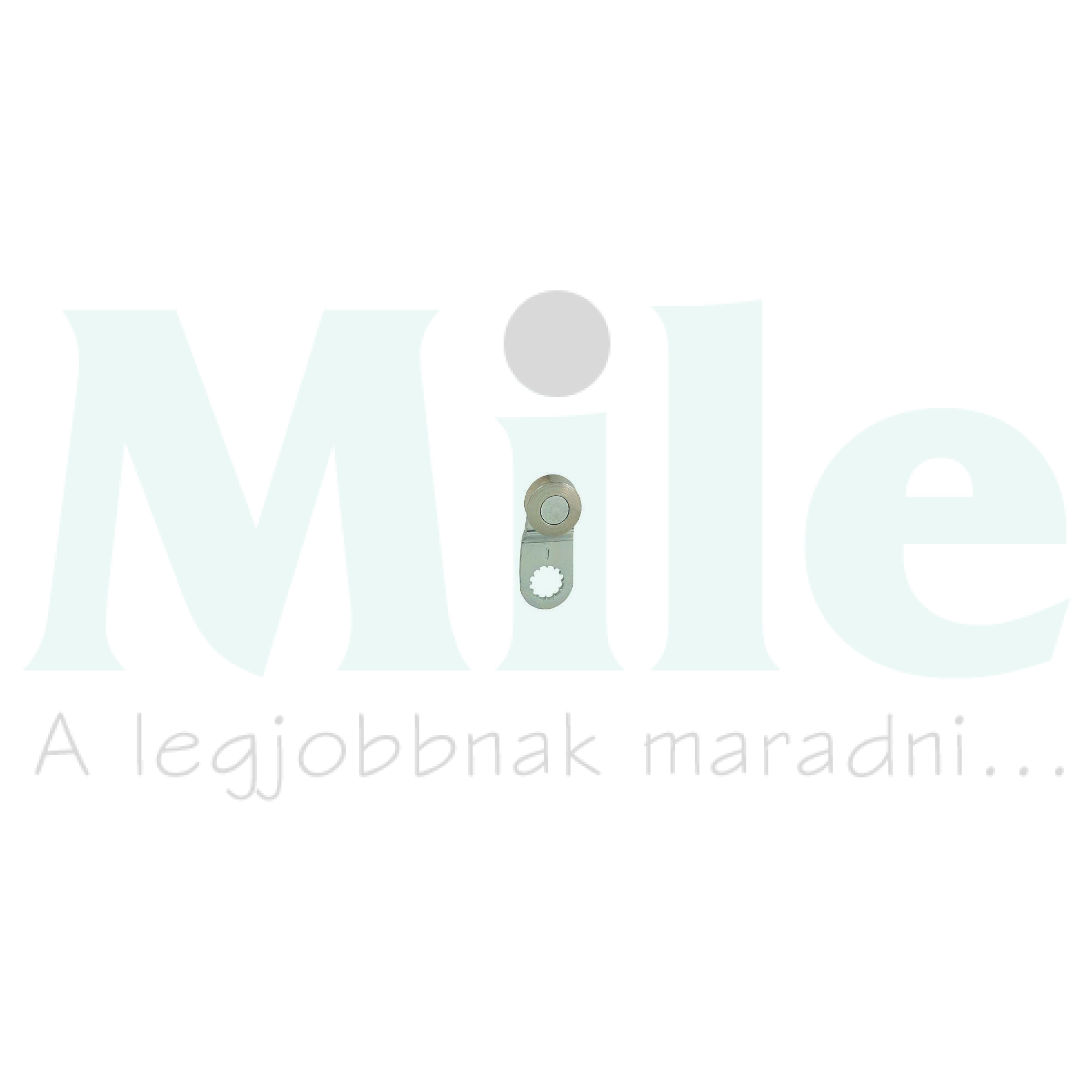 Működtető végálláskapcsolóhoz acél görgős kar OsiSense XC Schneider