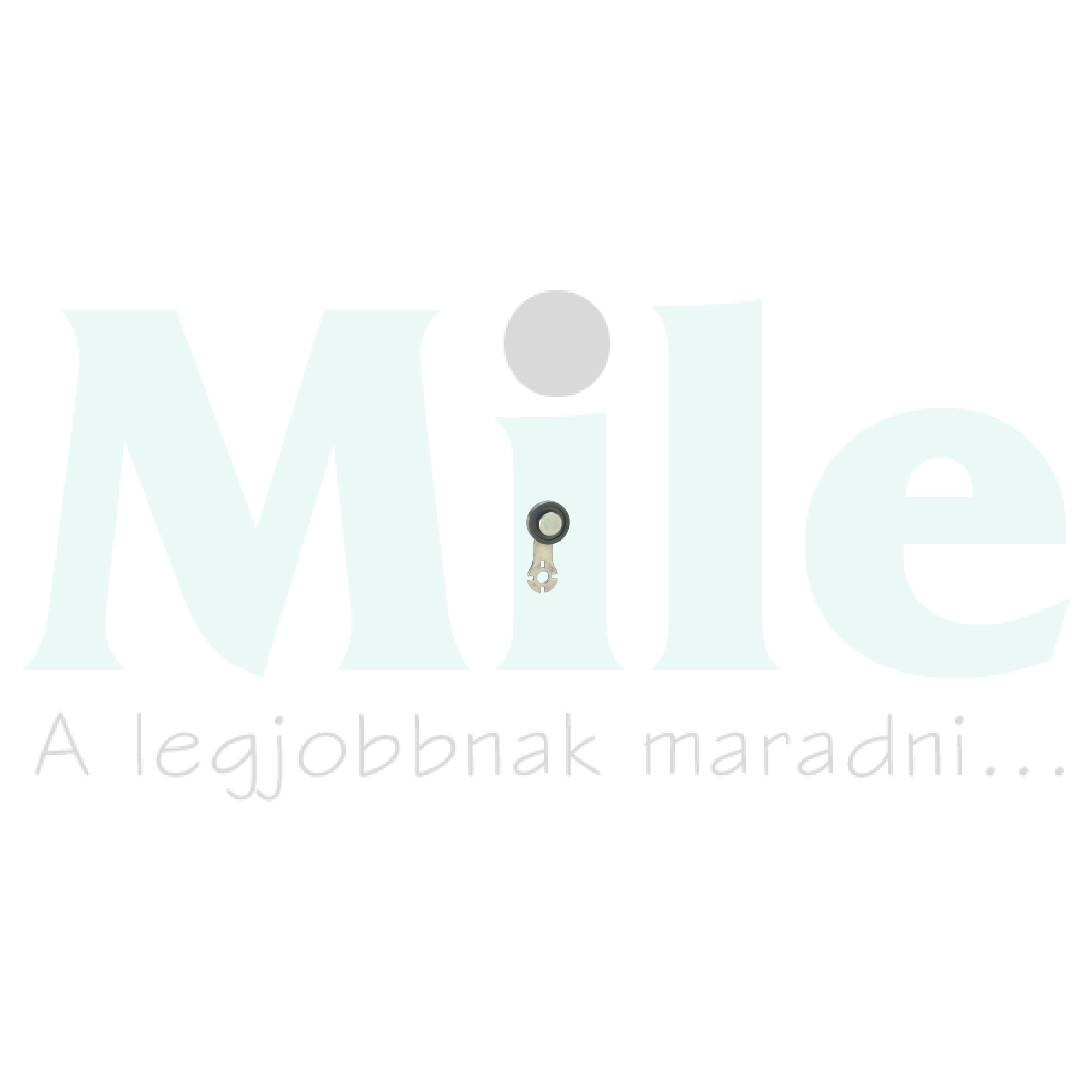 Működtető végálláskapcsolóhoz műanyag görgős kar OsiSense XC