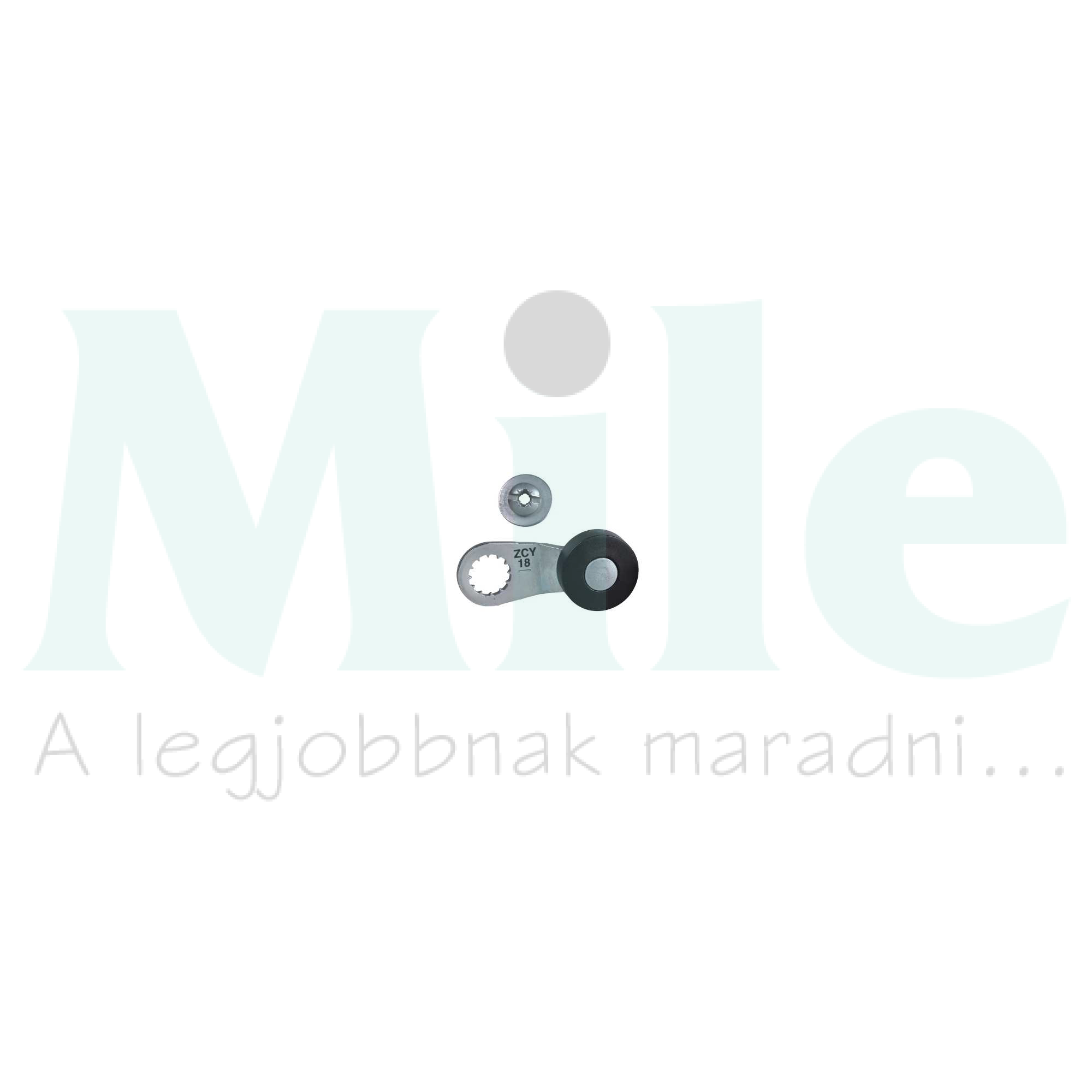 Működtető végálláskapcsolóhoz műanyag görgős kar OsiSense XC