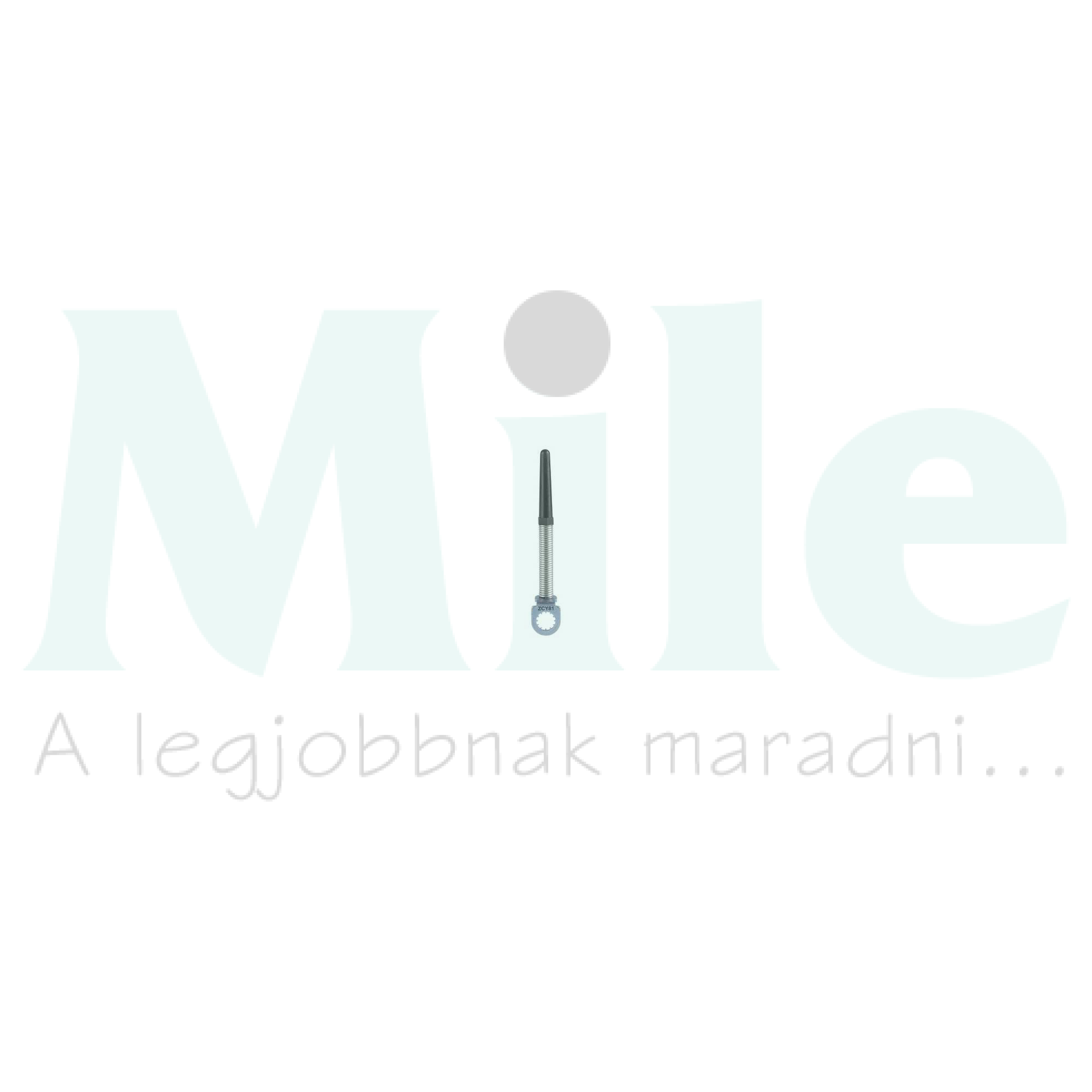 Működtető végálláskapcsolóhoz műanyag rugóspálca/-szál OsiSense