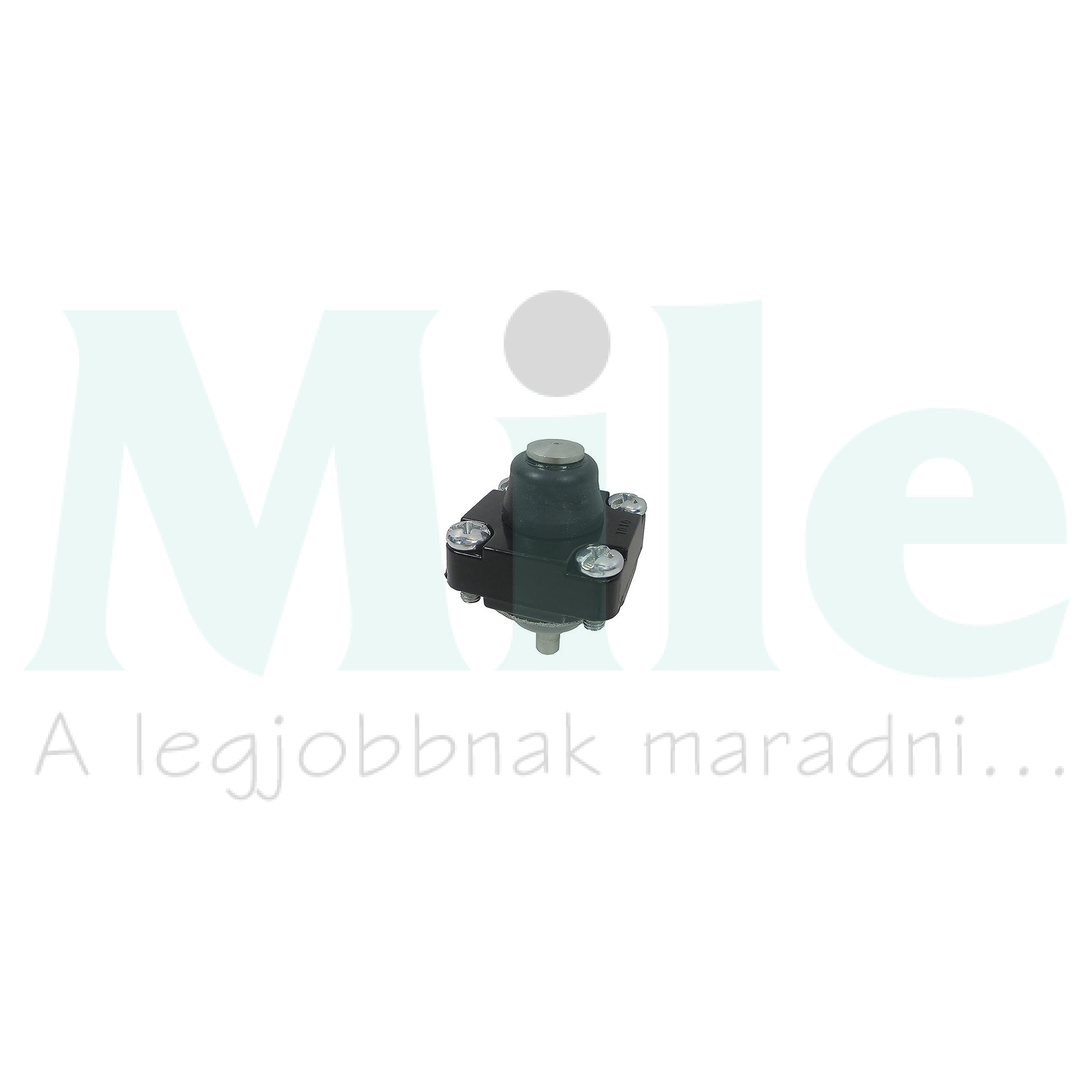 Működtetőfej végálláskapcsolóhoz nyomórudas  HONEYWELL